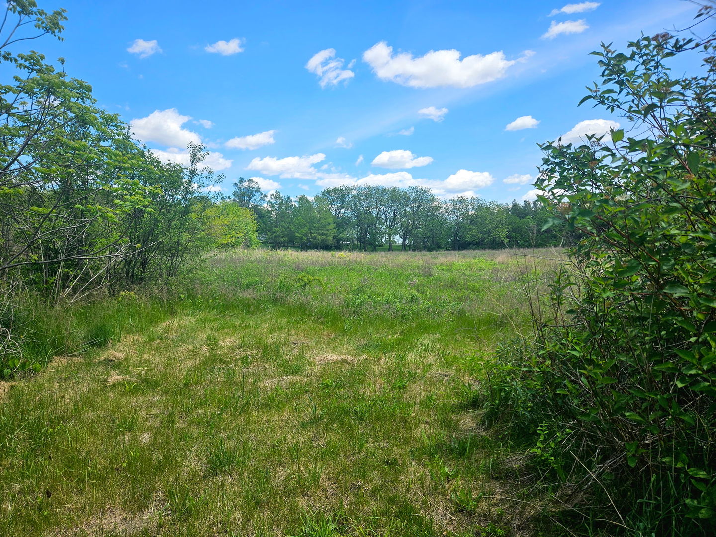 24128 S Harlem Avenue, Frankfort, IL 60423