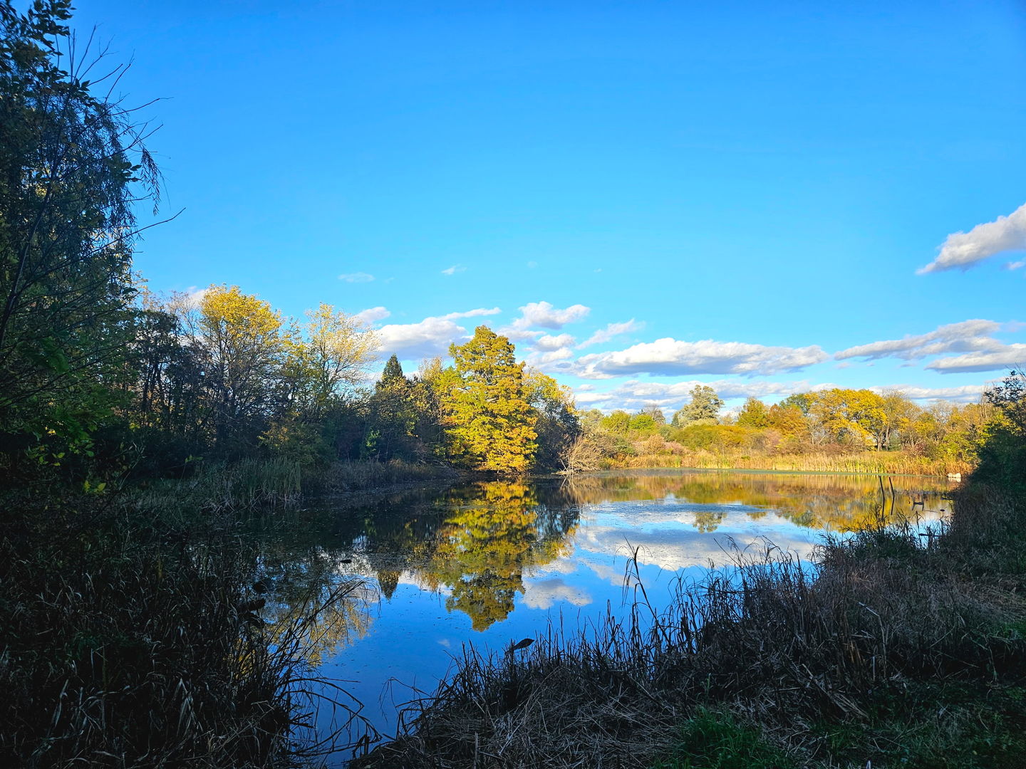 24128 S Harlem Avenue, Frankfort, IL 60423