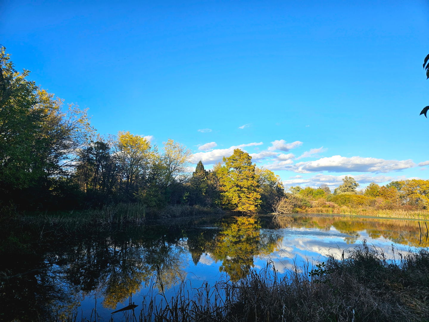 24128 S Harlem Avenue, Frankfort, IL 60423