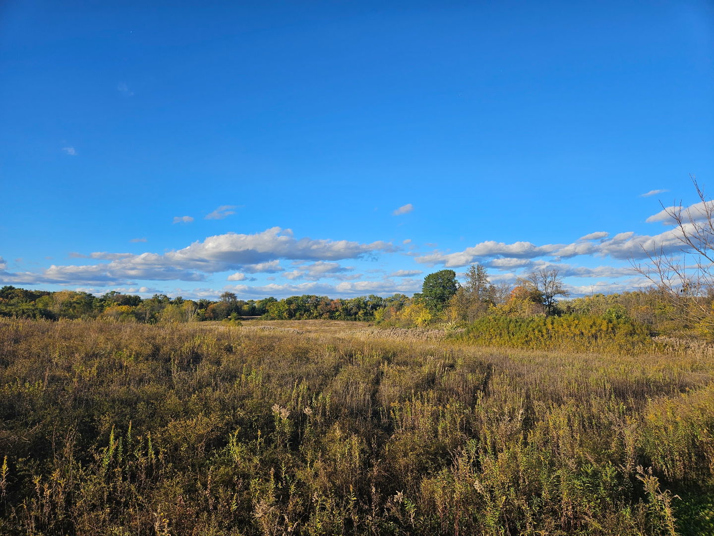 24128 S Harlem Avenue, Frankfort, IL 60423