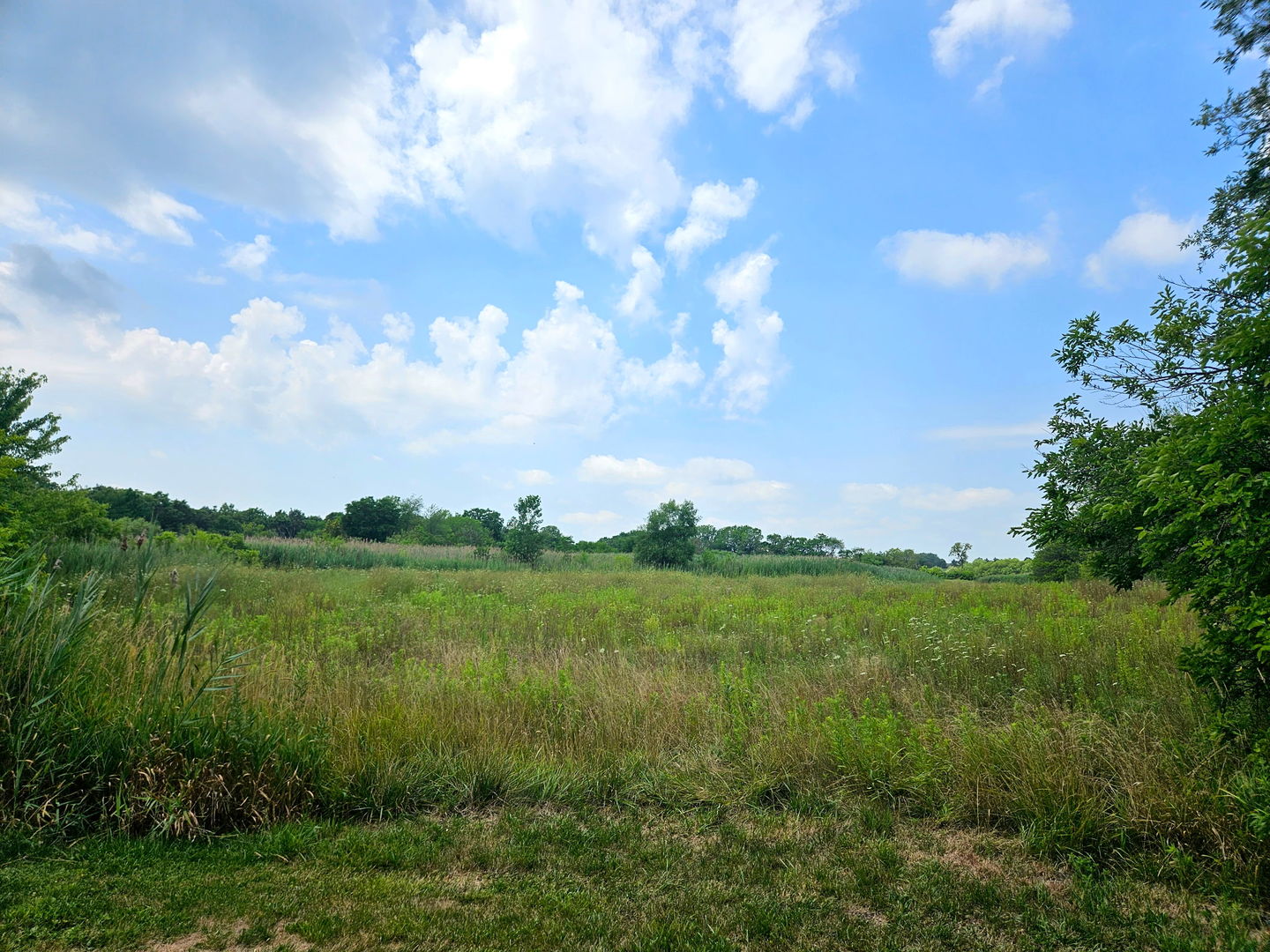 24128 S Harlem Avenue, Frankfort, IL 60423