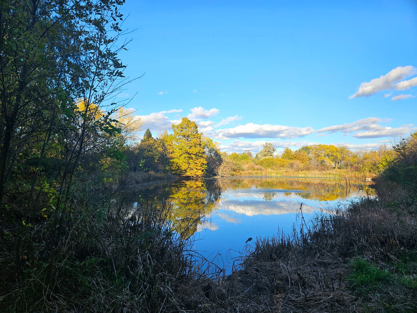 24128 S Harlem Avenue, Frankfort, IL 60423