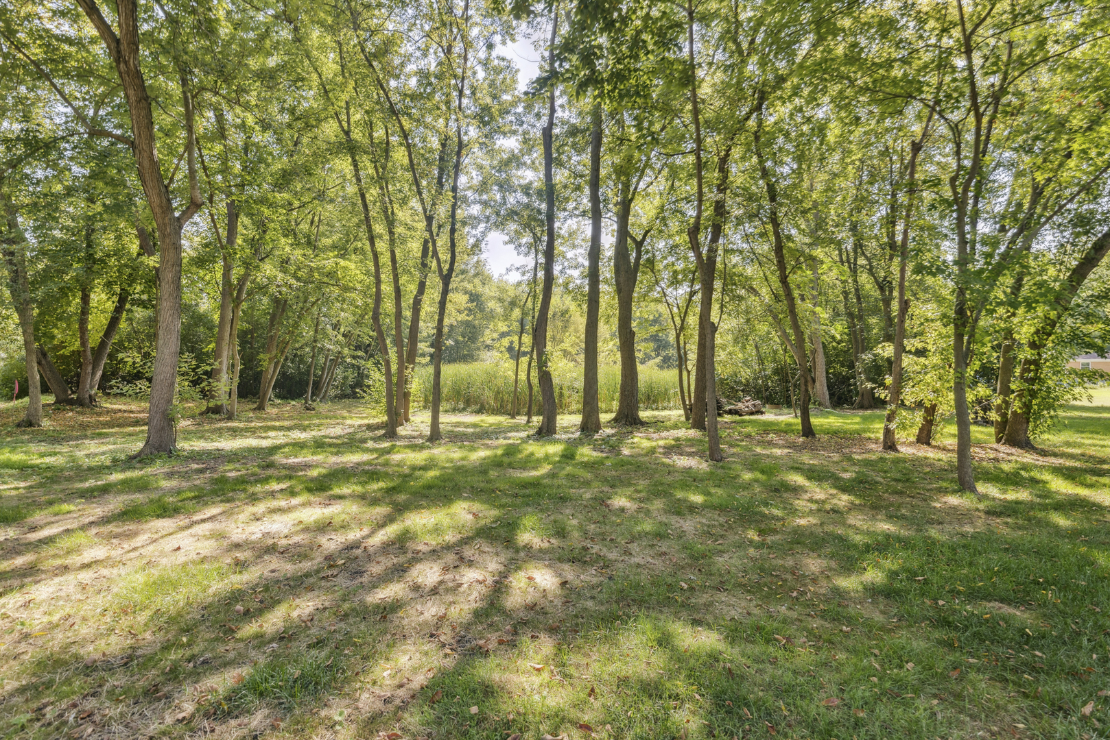 25455 W Greenview Avenue, Antioch, IL 60002