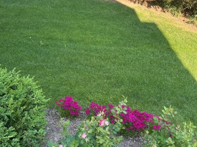 805 Stone Canyon Circle, Inverness, IL 60010