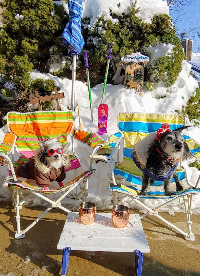 5600 Hillcrest Lane #2K, Lisle, IL 60532