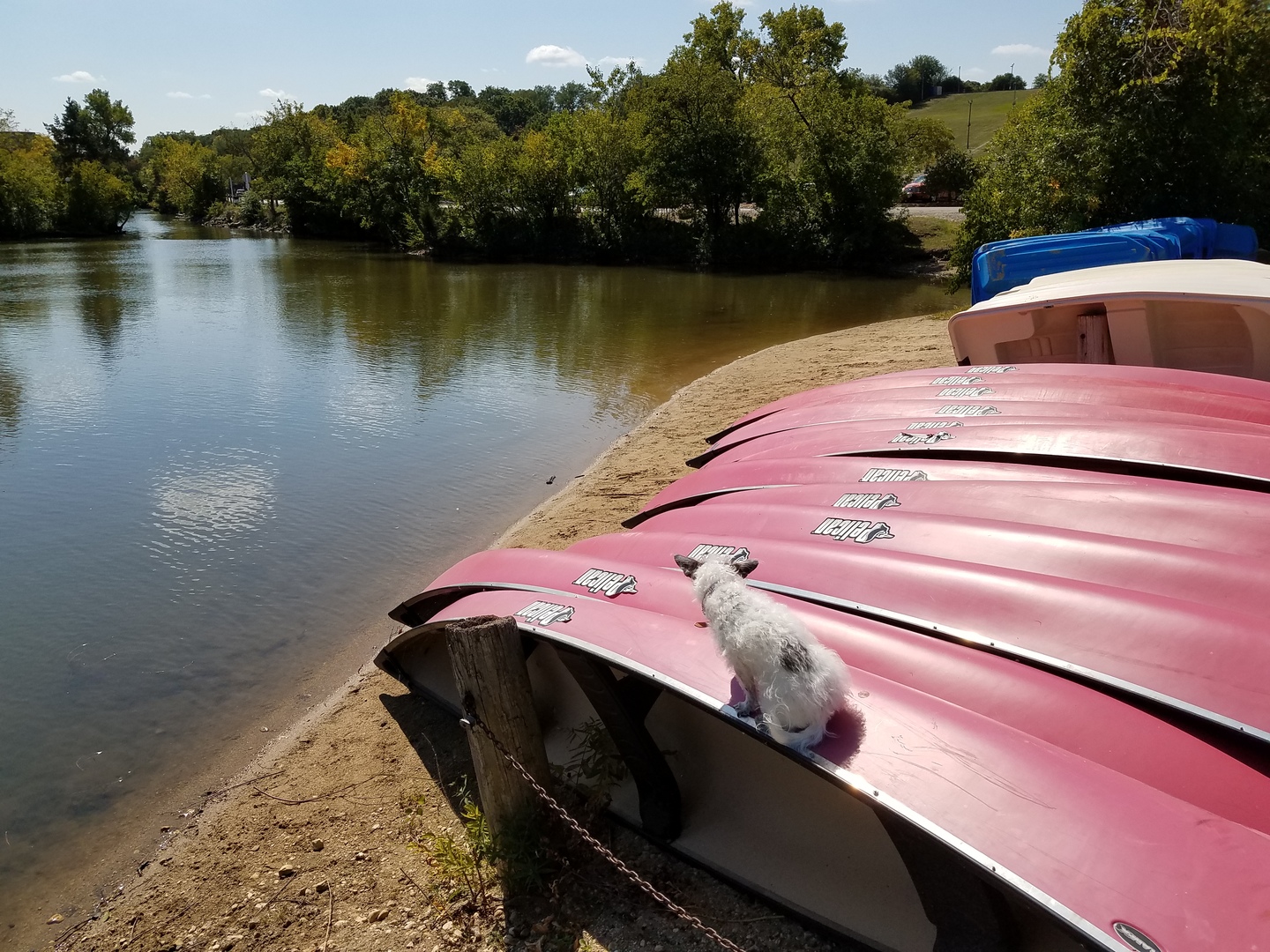 5600 Hillcrest Lane #2K, Lisle, IL 60532