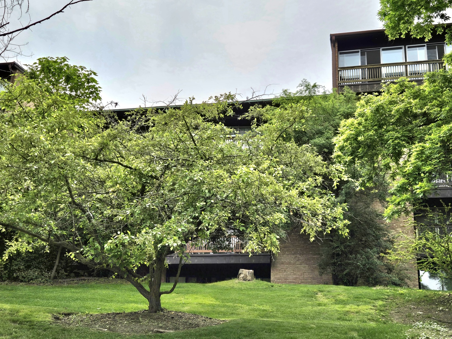 5600 Hillcrest Lane #2K, Lisle, IL 60532