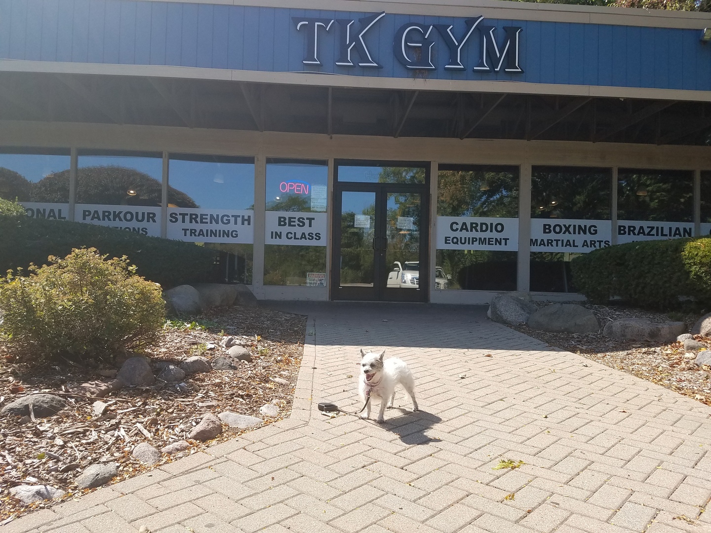 5600 Hillcrest Lane #2K, Lisle, IL 60532