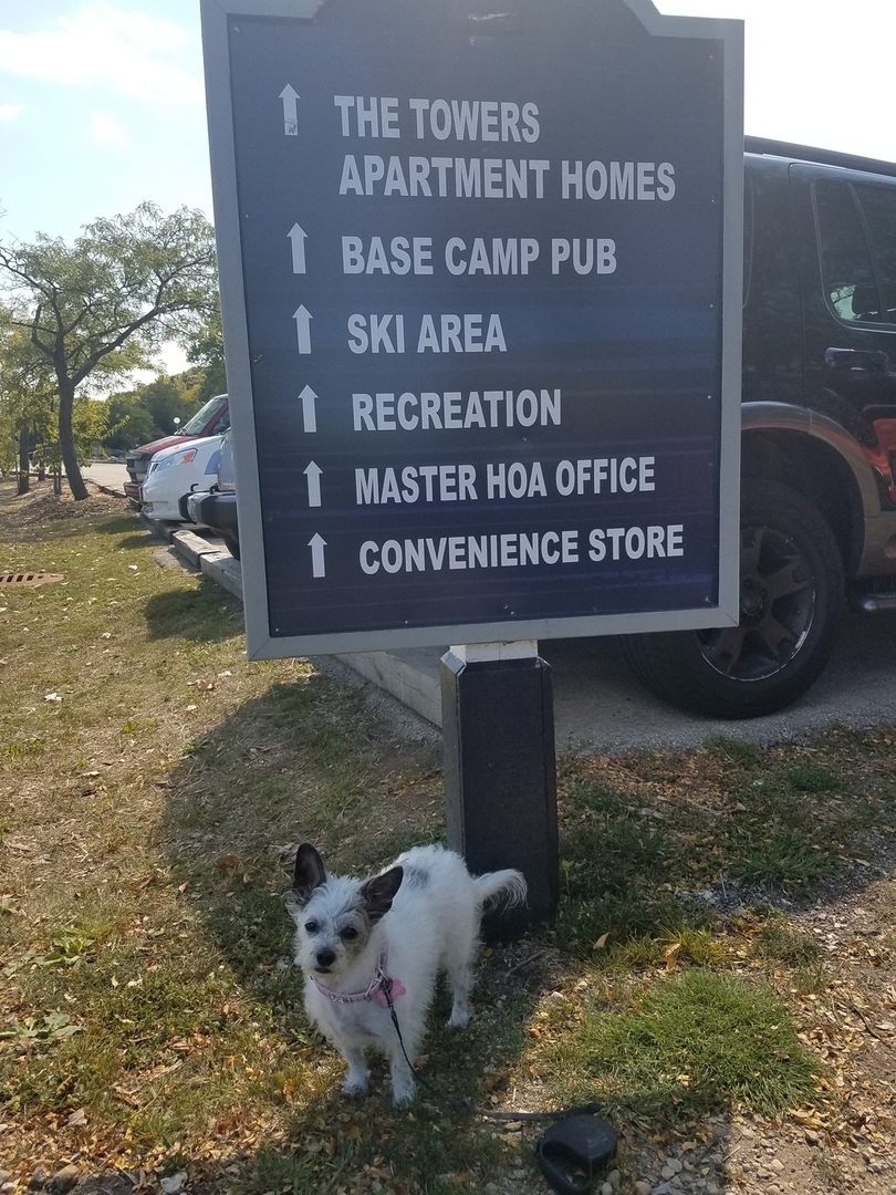 5600 Hillcrest Lane #2K, Lisle, IL 60532