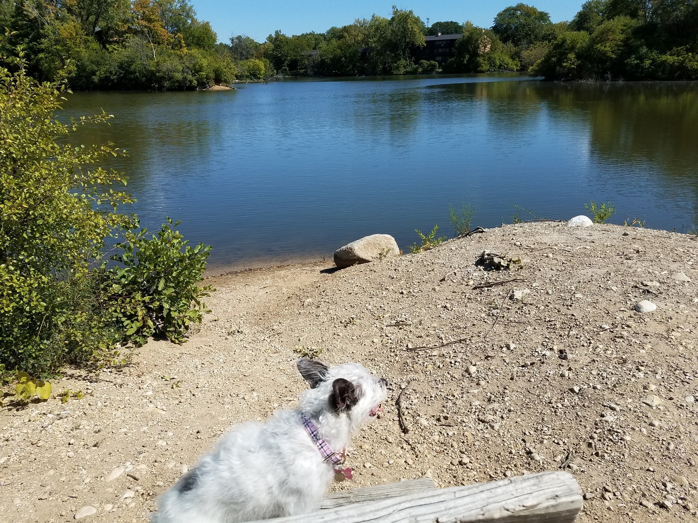 5600 Hillcrest Lane #2K, Lisle, IL 60532