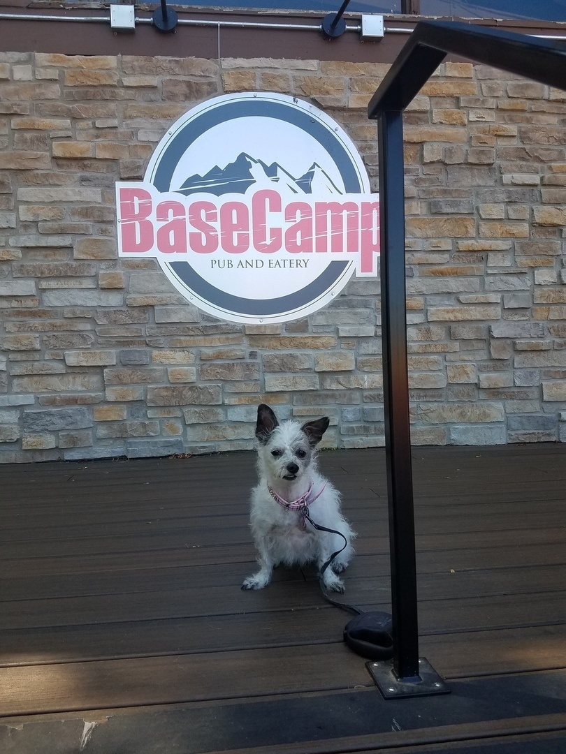 5600 Hillcrest Lane #2K, Lisle, IL 60532