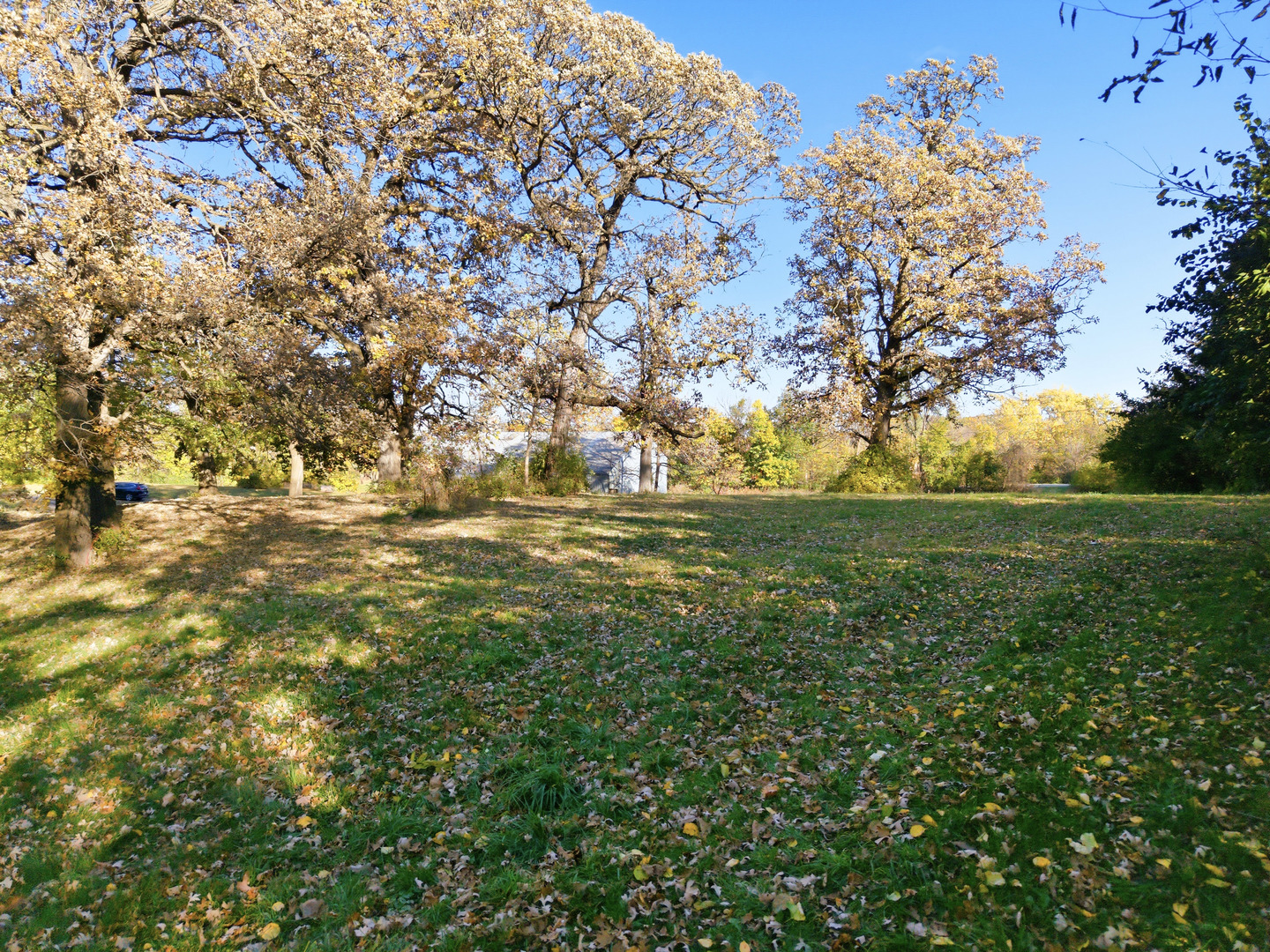 3805 Klasen Road, Cary, IL 60013