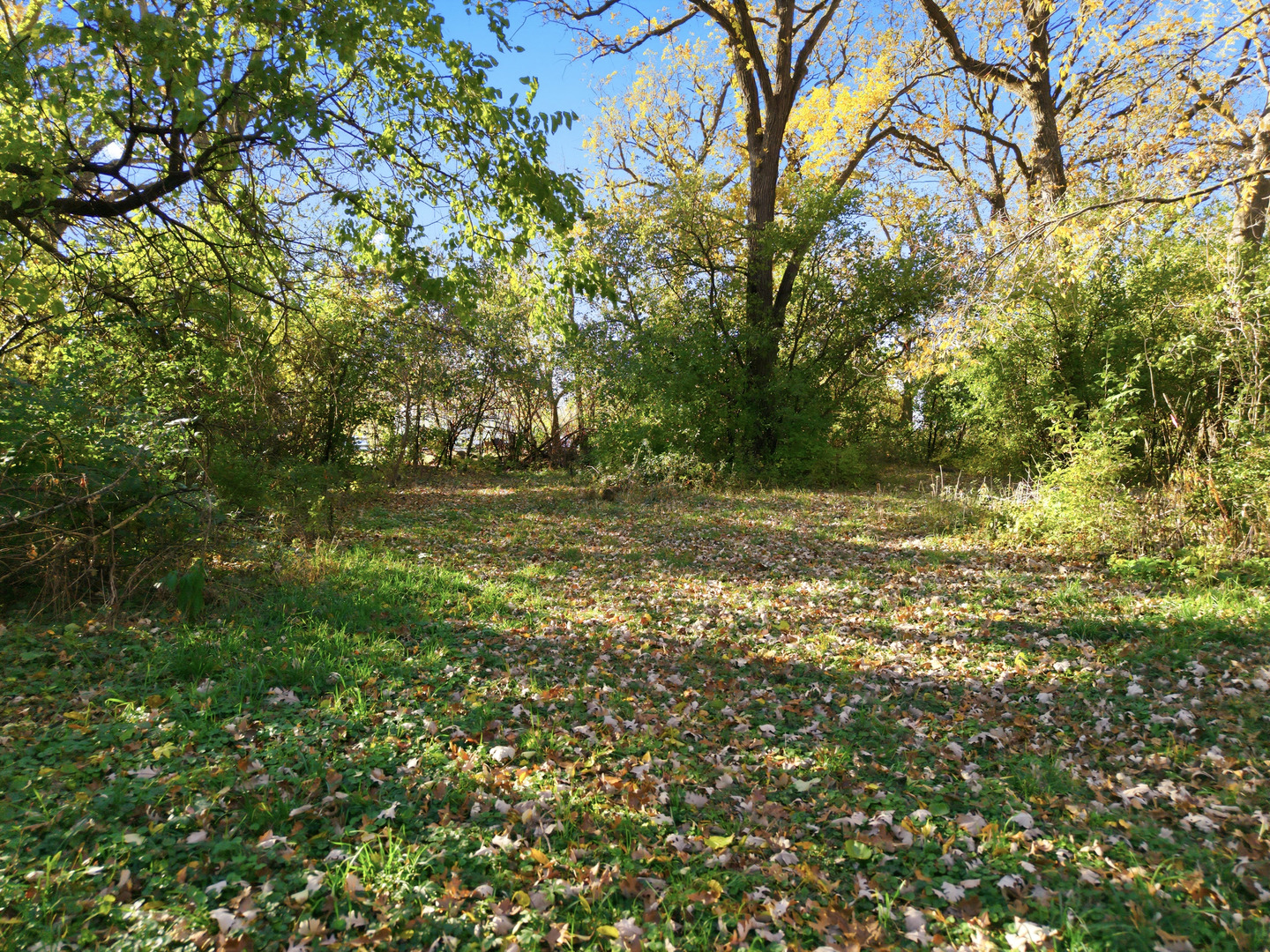 3805 Klasen Road, Cary, IL 60013