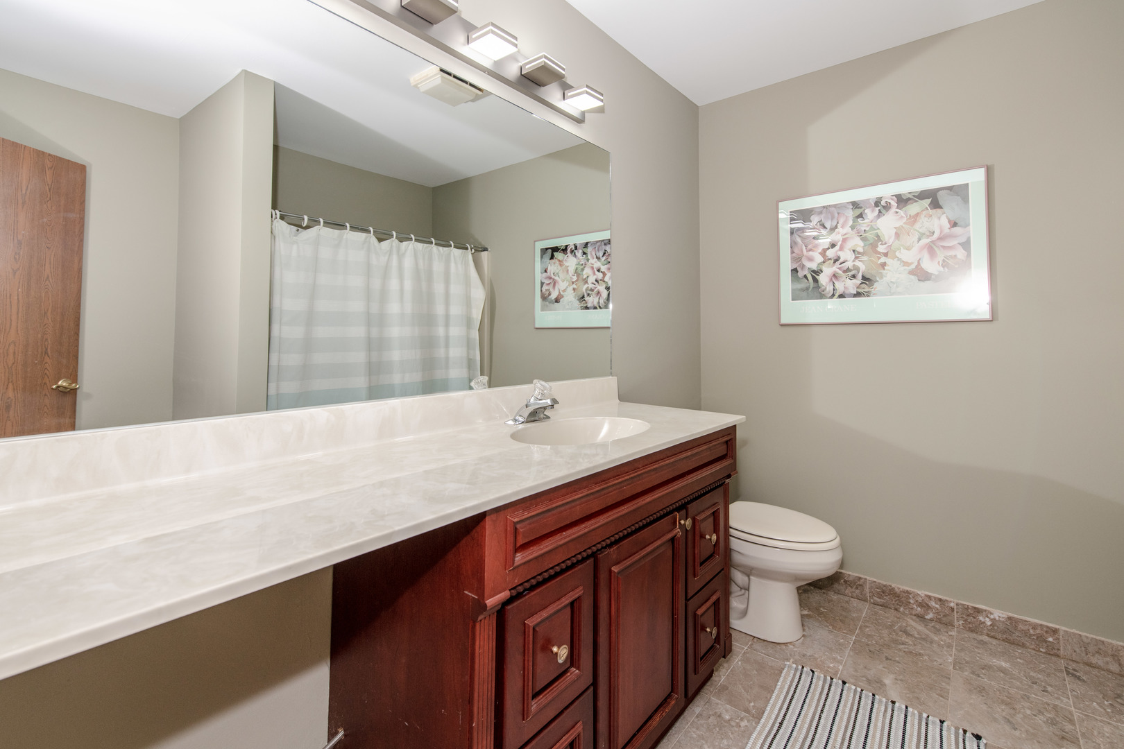 23127 Judith Court, Plainfield, IL 60586