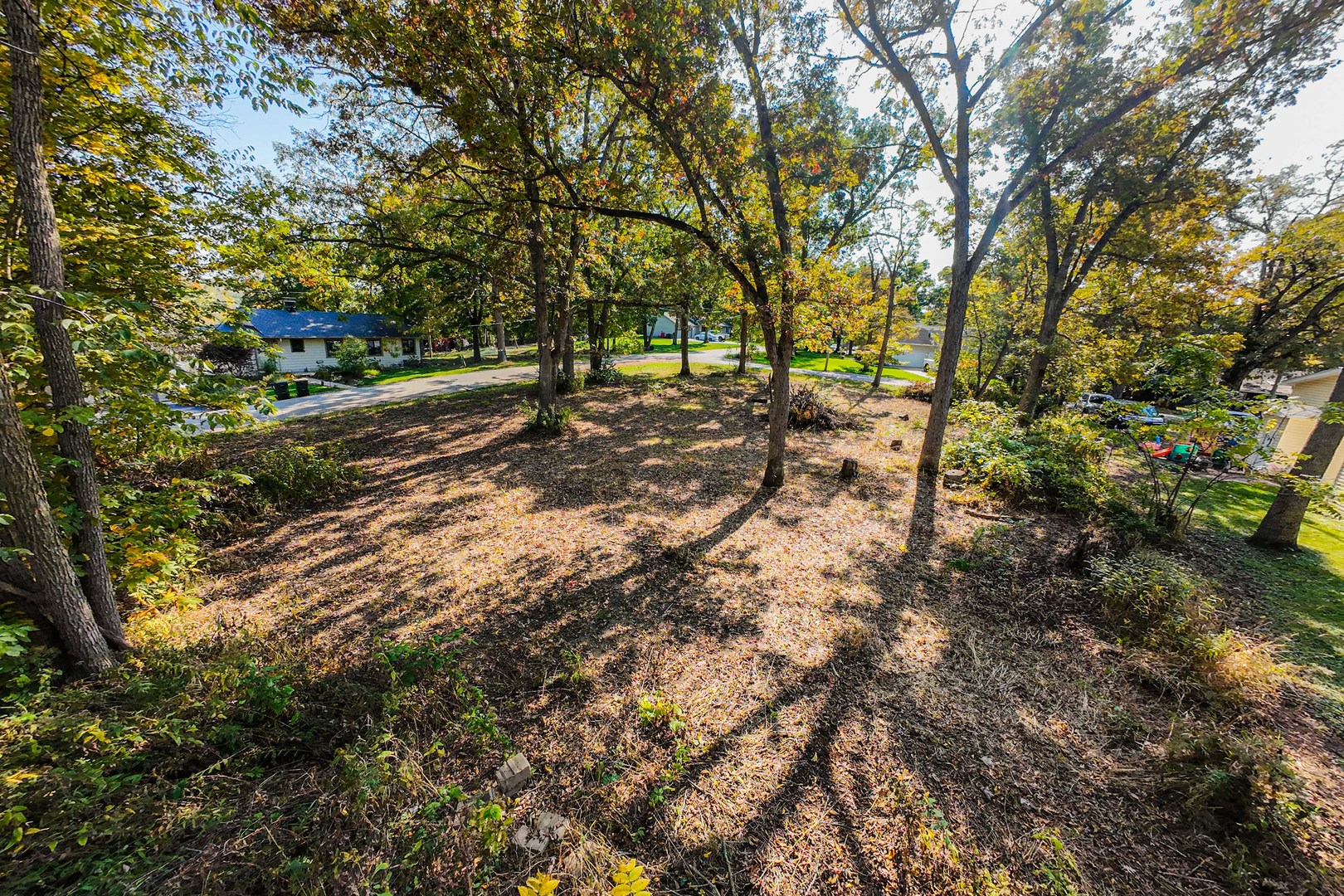 0 Elgin Avenue, St. Charles, IL 60174