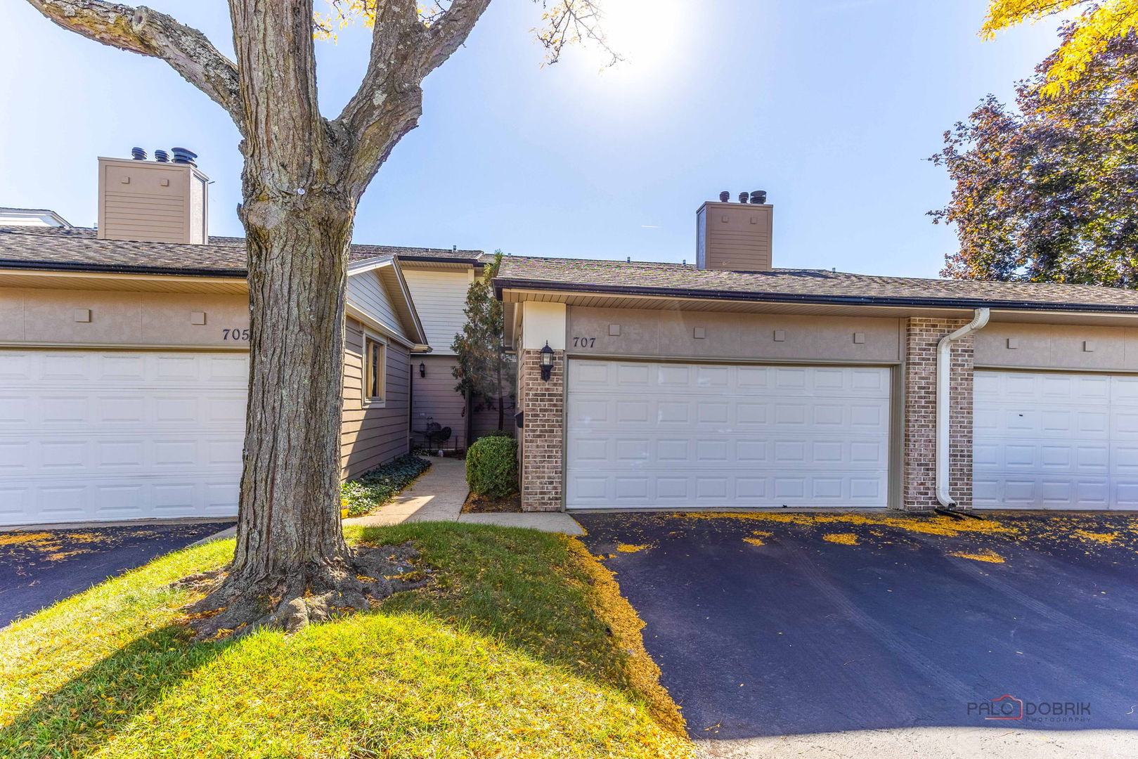 707 MALLARD Lane #707, Deerfield, IL 60015