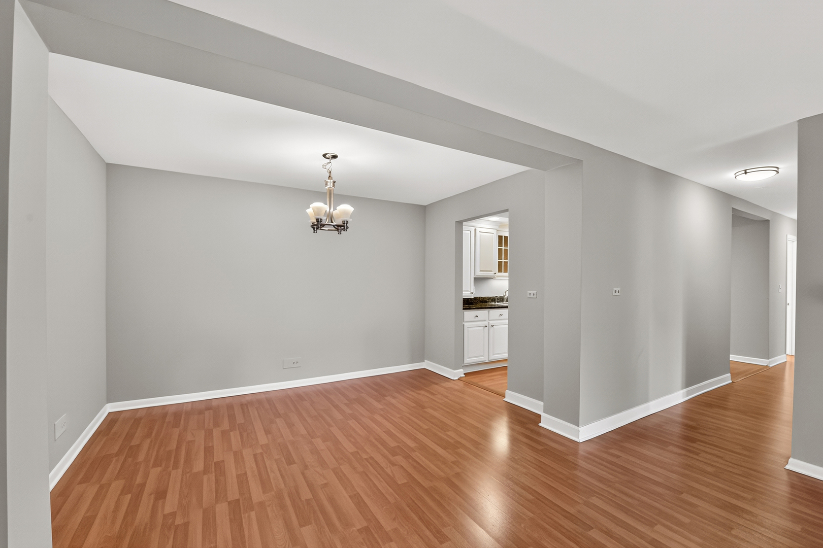 2500 Windsor Mall #1J, Park Ridge, IL 60068