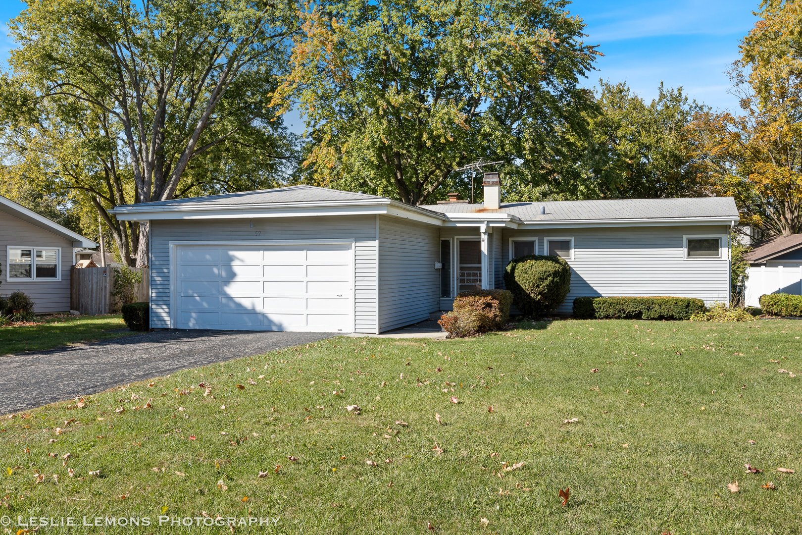59 Elmwood Drive, Naperville, IL 60540