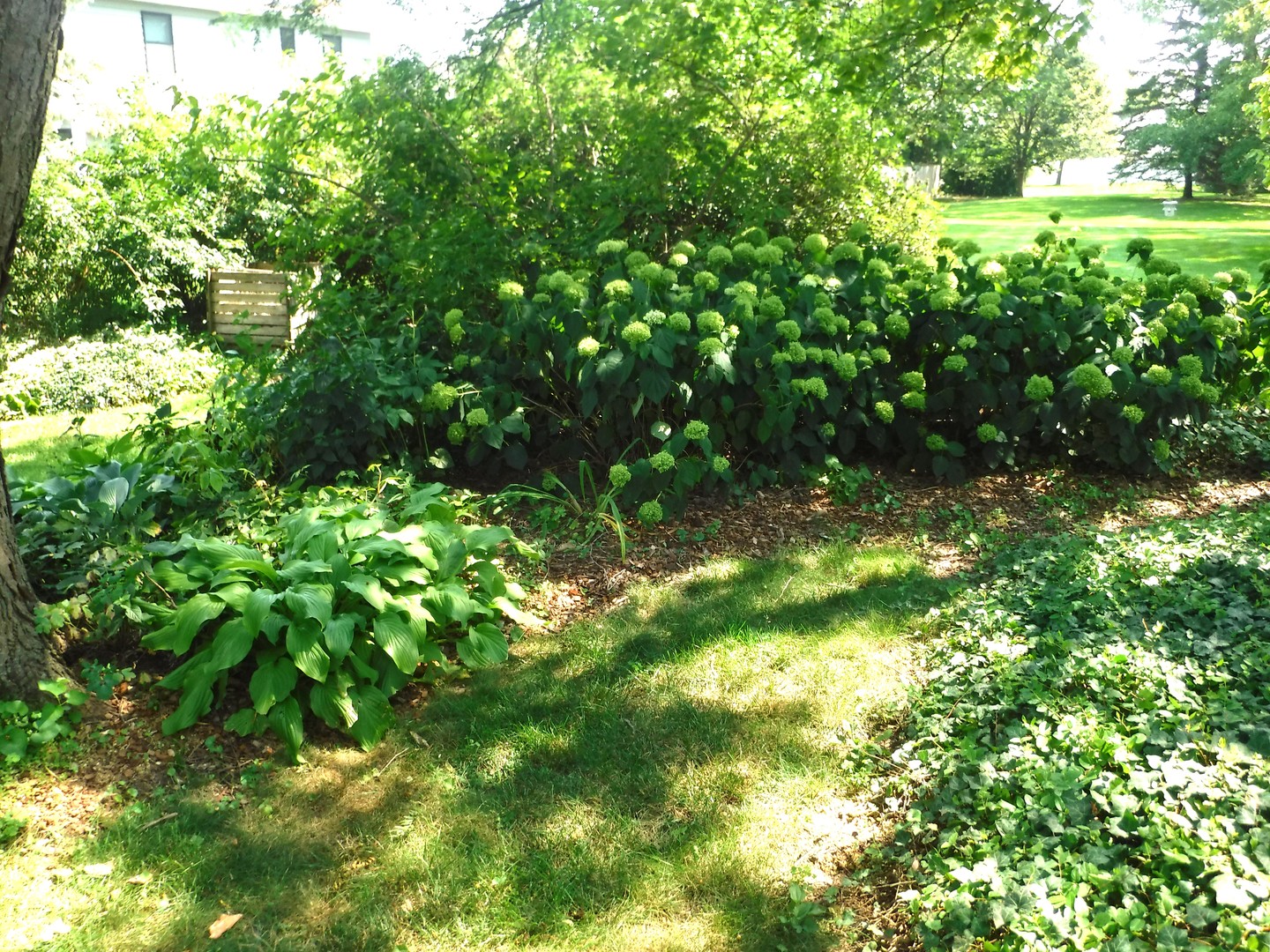 3007 Monterey Drive, Flossmoor, IL 60422