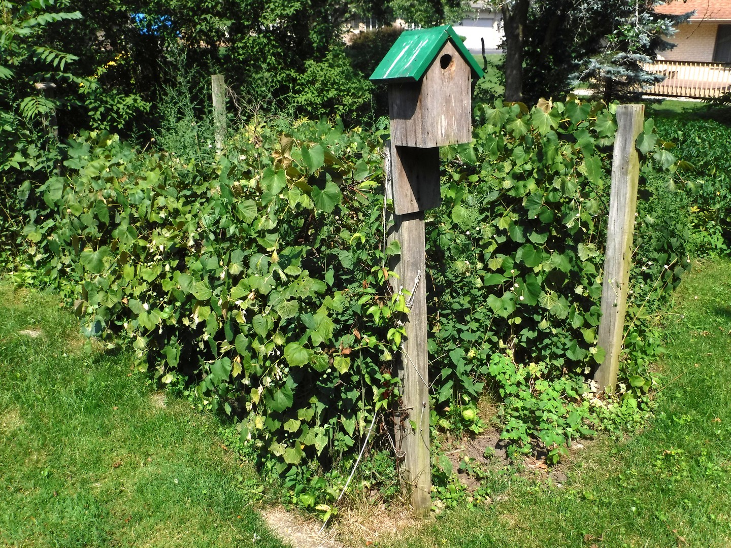 3007 Monterey Drive, Flossmoor, IL 60422