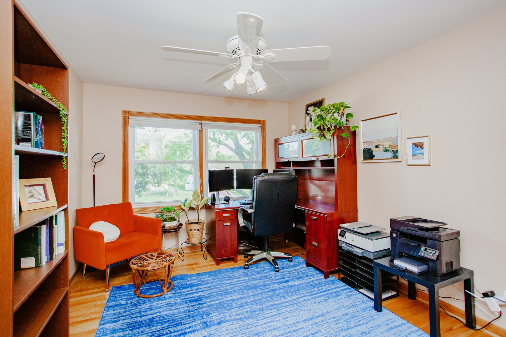 207 Schreiber Avenue, Roselle, IL 60172