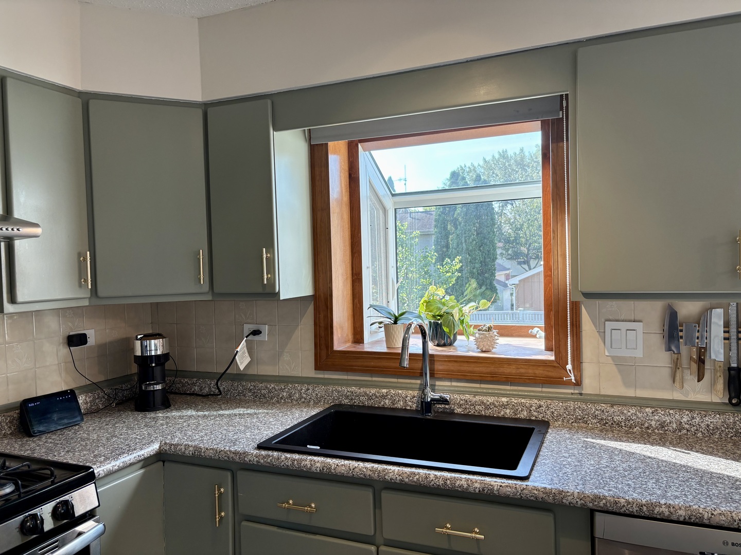 207 Schreiber Avenue, Roselle, IL 60172