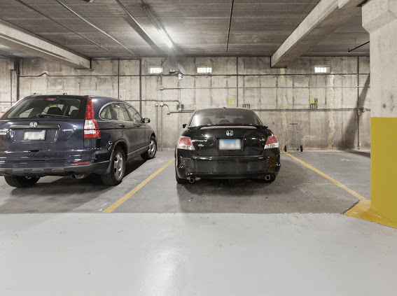 120 Lakeview Drive #514, Bloomingdale, IL 60108