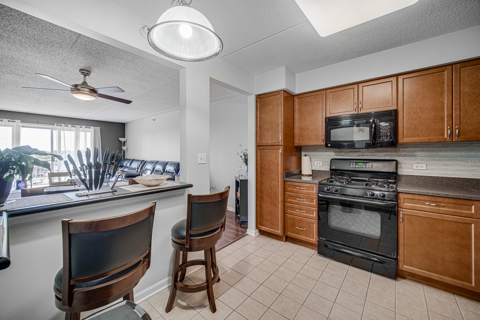 390 S Western Avenue #604, Des Plaines, IL 60016