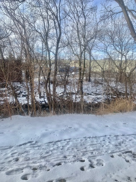 5201 Carriageway Drive #103, Rolling Meadows, IL 60008