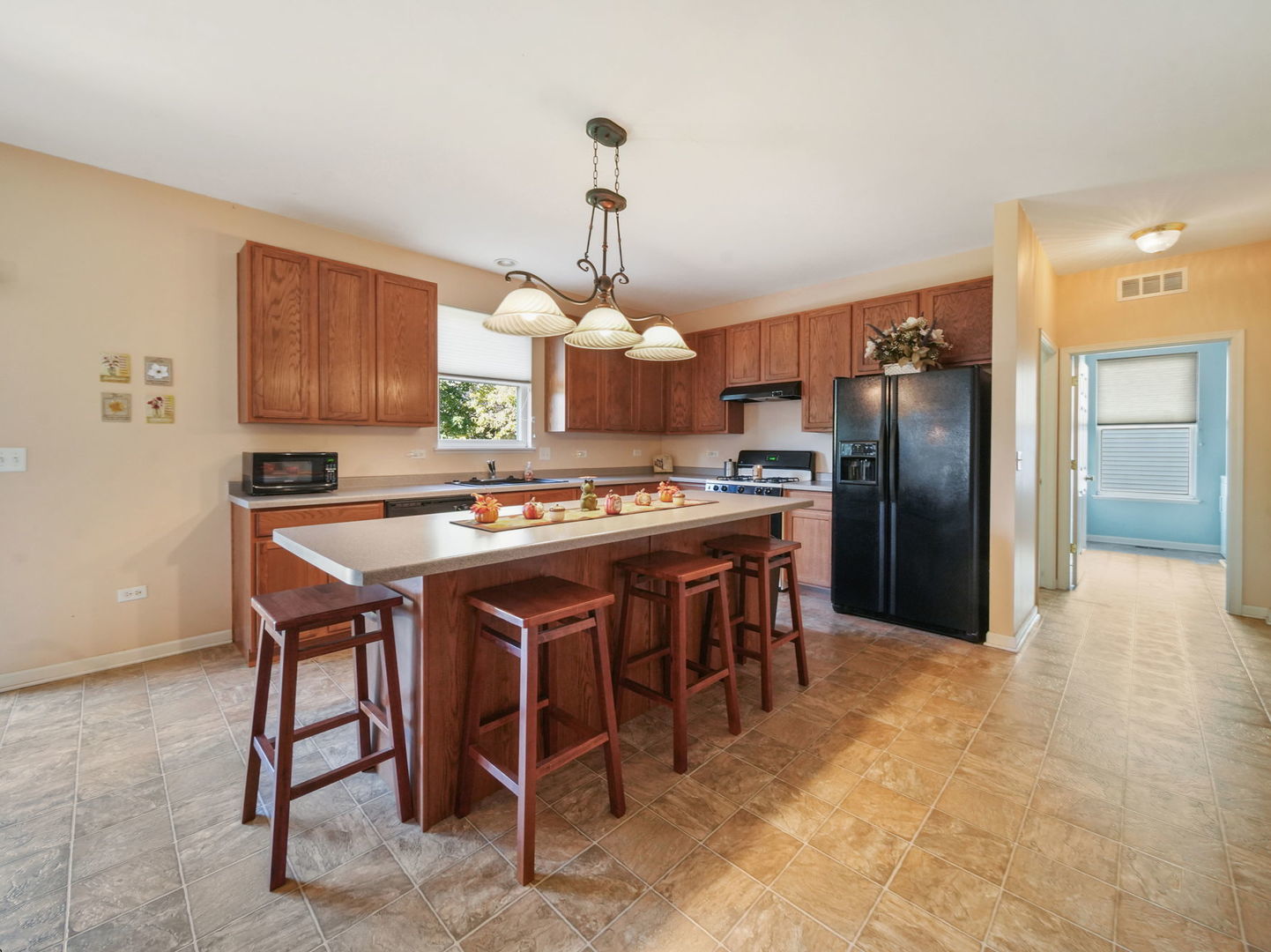 257 Hanburg Lane, Bolingbrook, IL 60440