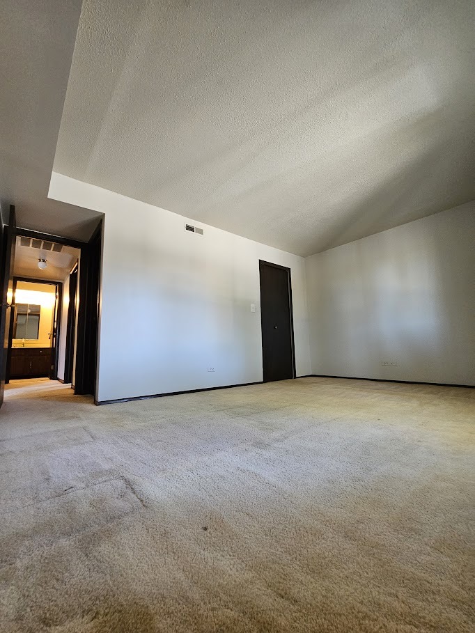 13913 James Drive #1017, Crestwood, IL 60418