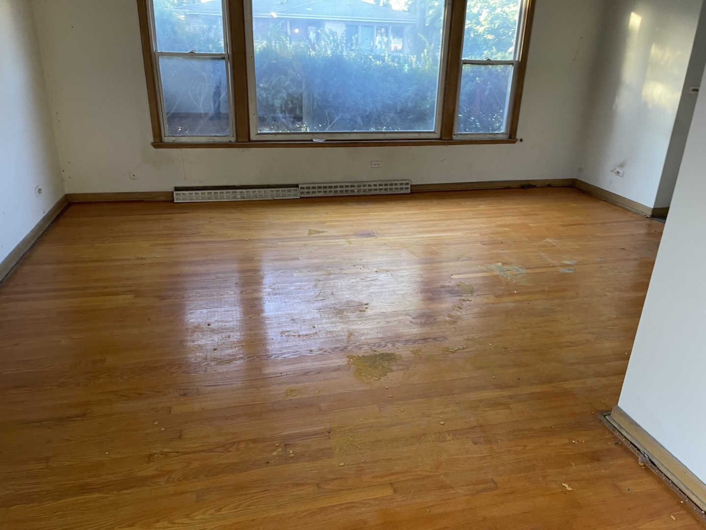 441 E adams Street, Elmhurst, IL 60126
