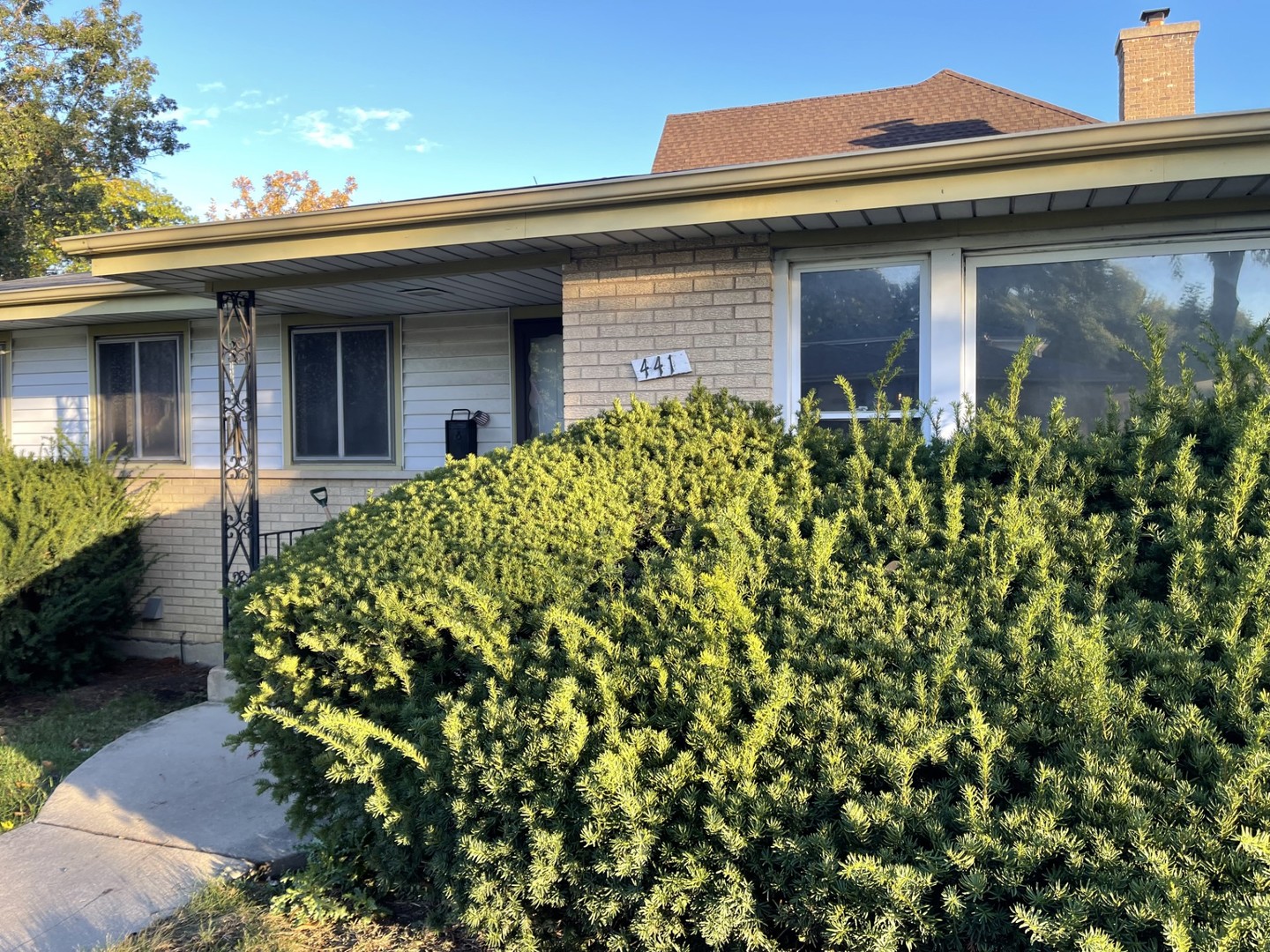 441 E adams Street, Elmhurst, IL 60126