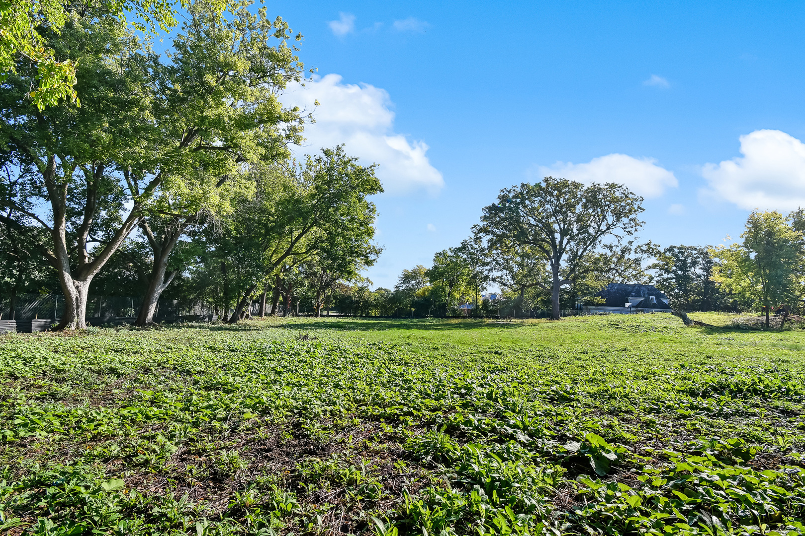 1751 Midwest Club Parkway, Oak Brook, IL 60523