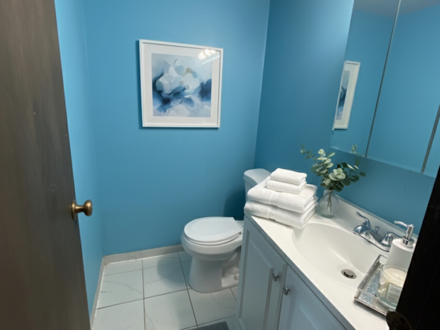 1513 Elder Drive, Aurora, IL 60506