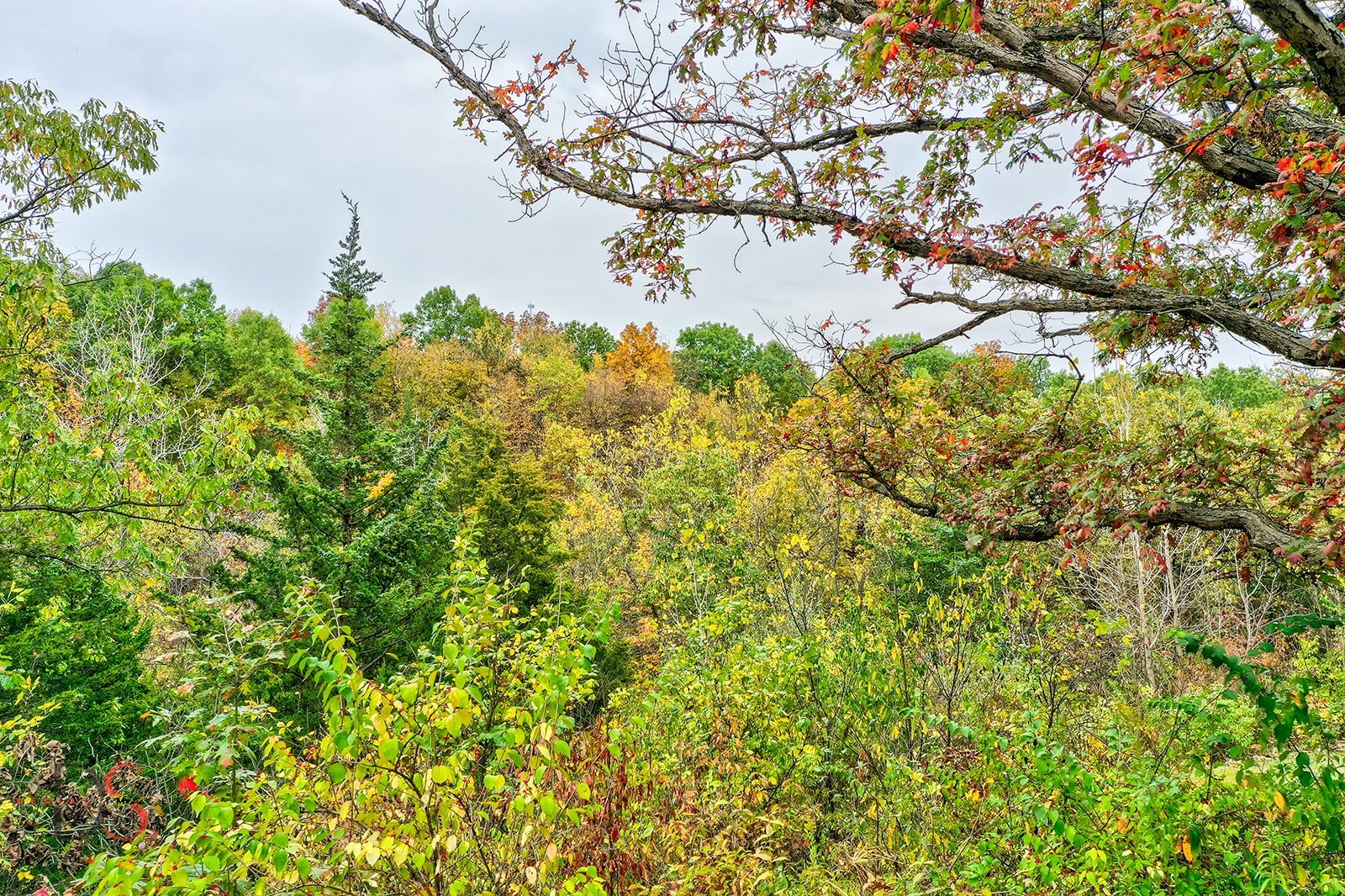 2834 E 2525th Road, Marseilles, IL 61341