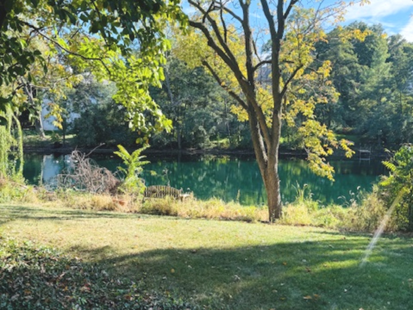 210 Saint Michael Court, Oak Brook, IL 60523