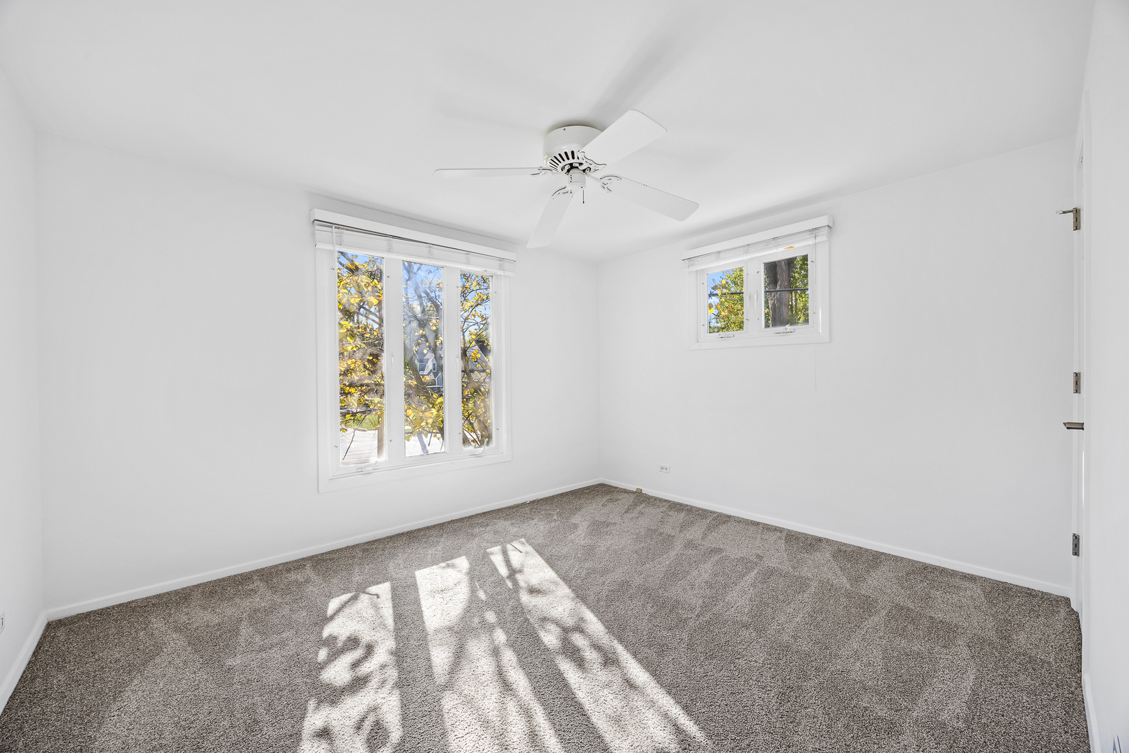 916 Grant Street, Downers Grove, IL 60515