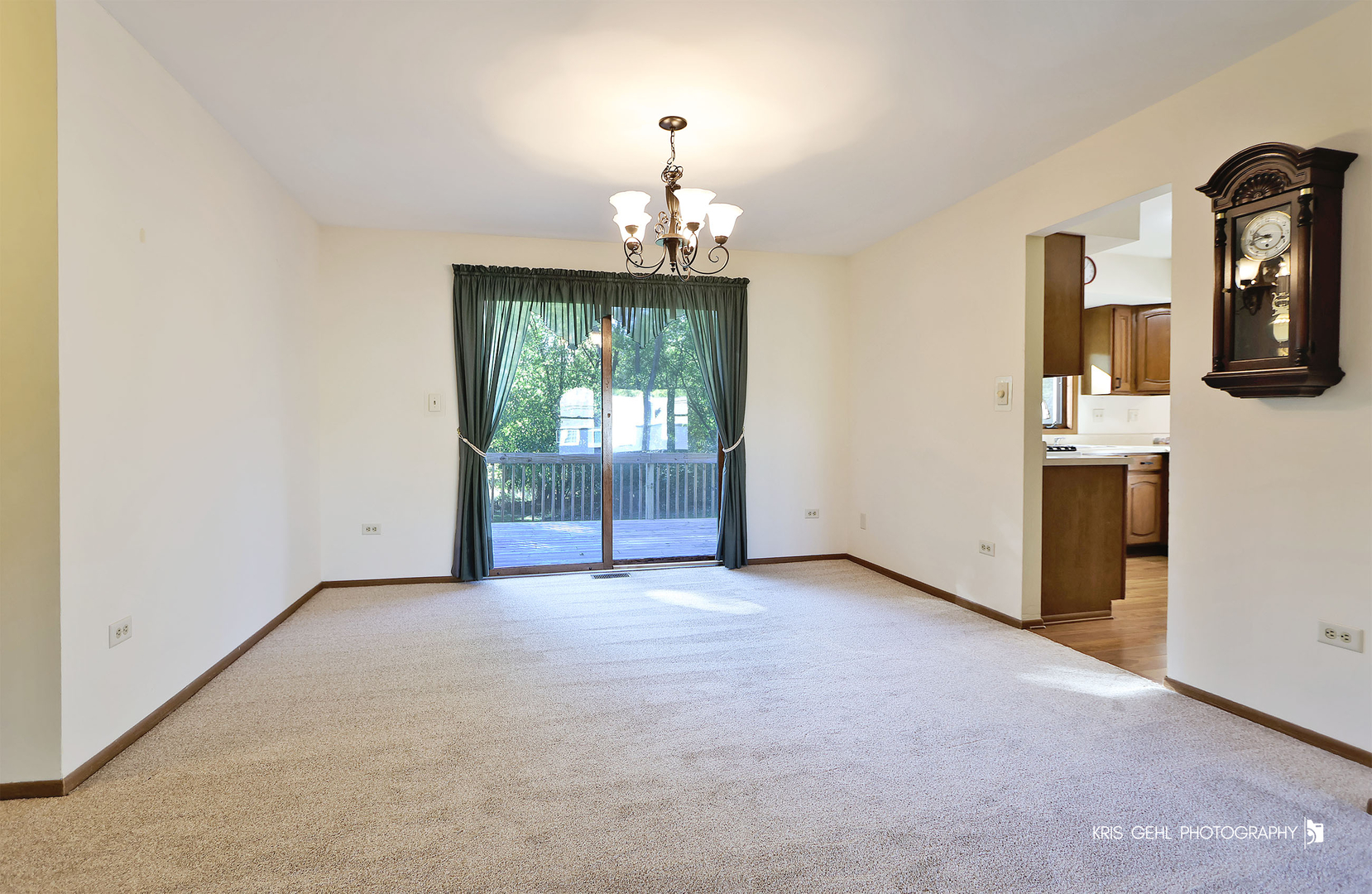 150 E Depot Street, Antioch, IL 60002