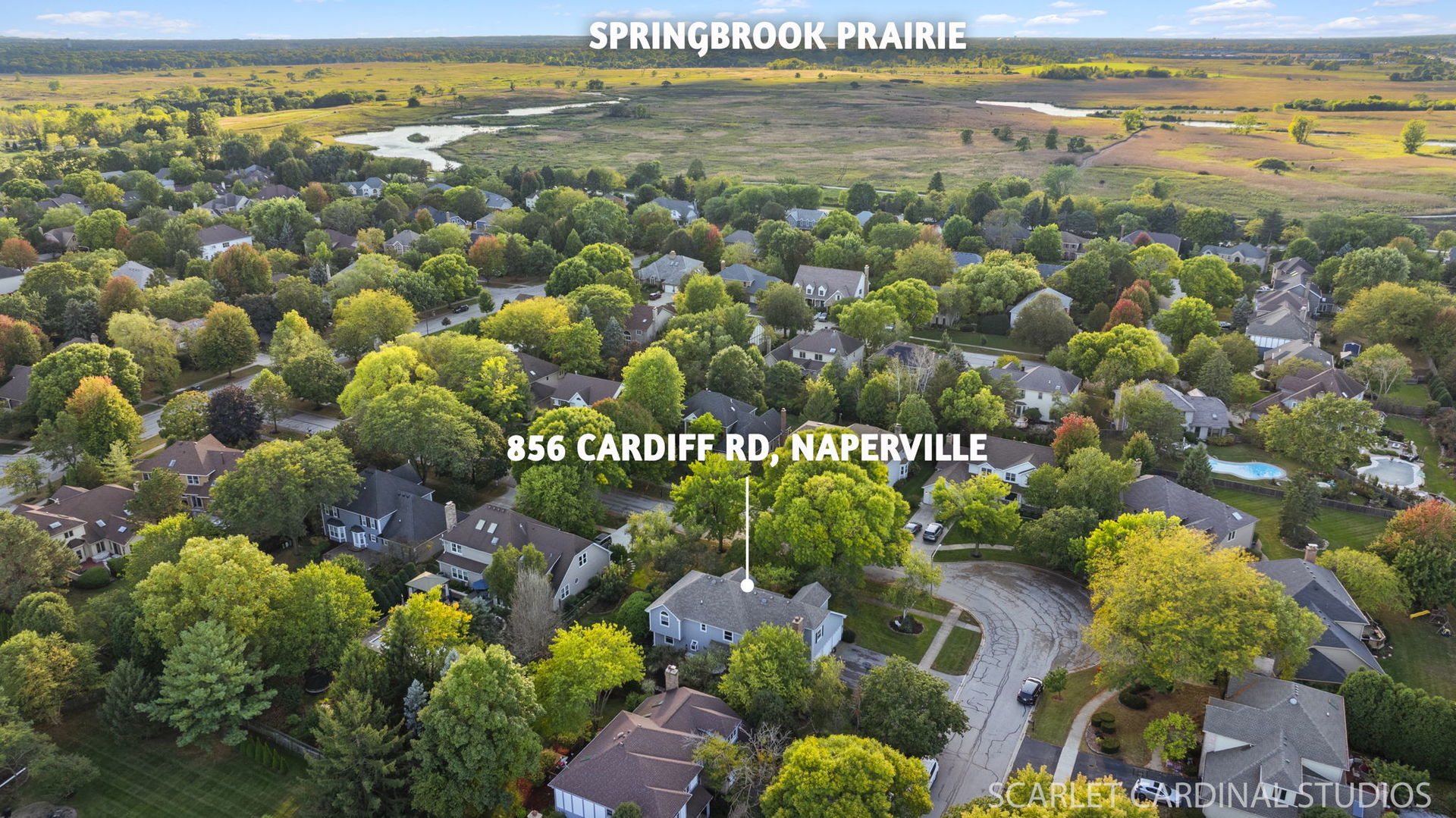 856 Cardiff Road, Naperville, IL 60565