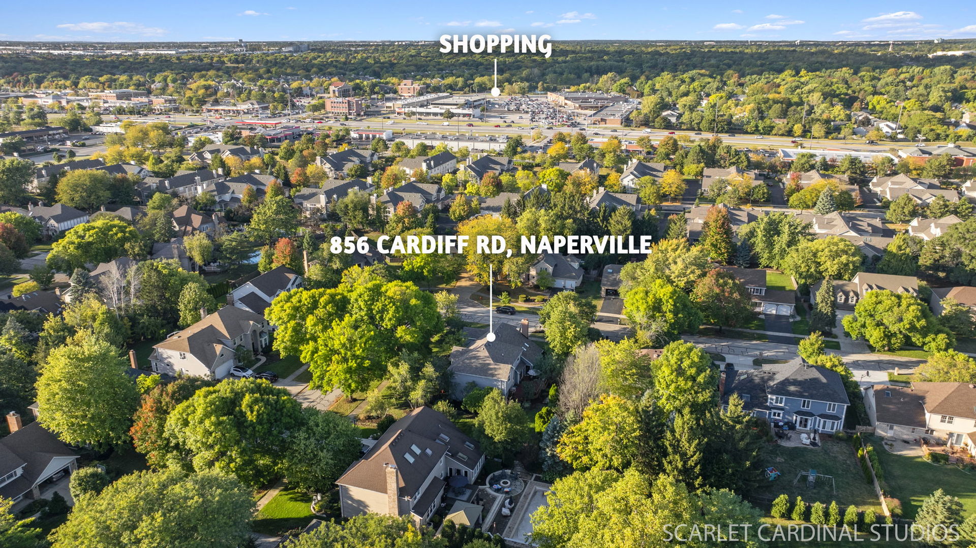 856 Cardiff Road, Naperville, IL 60565