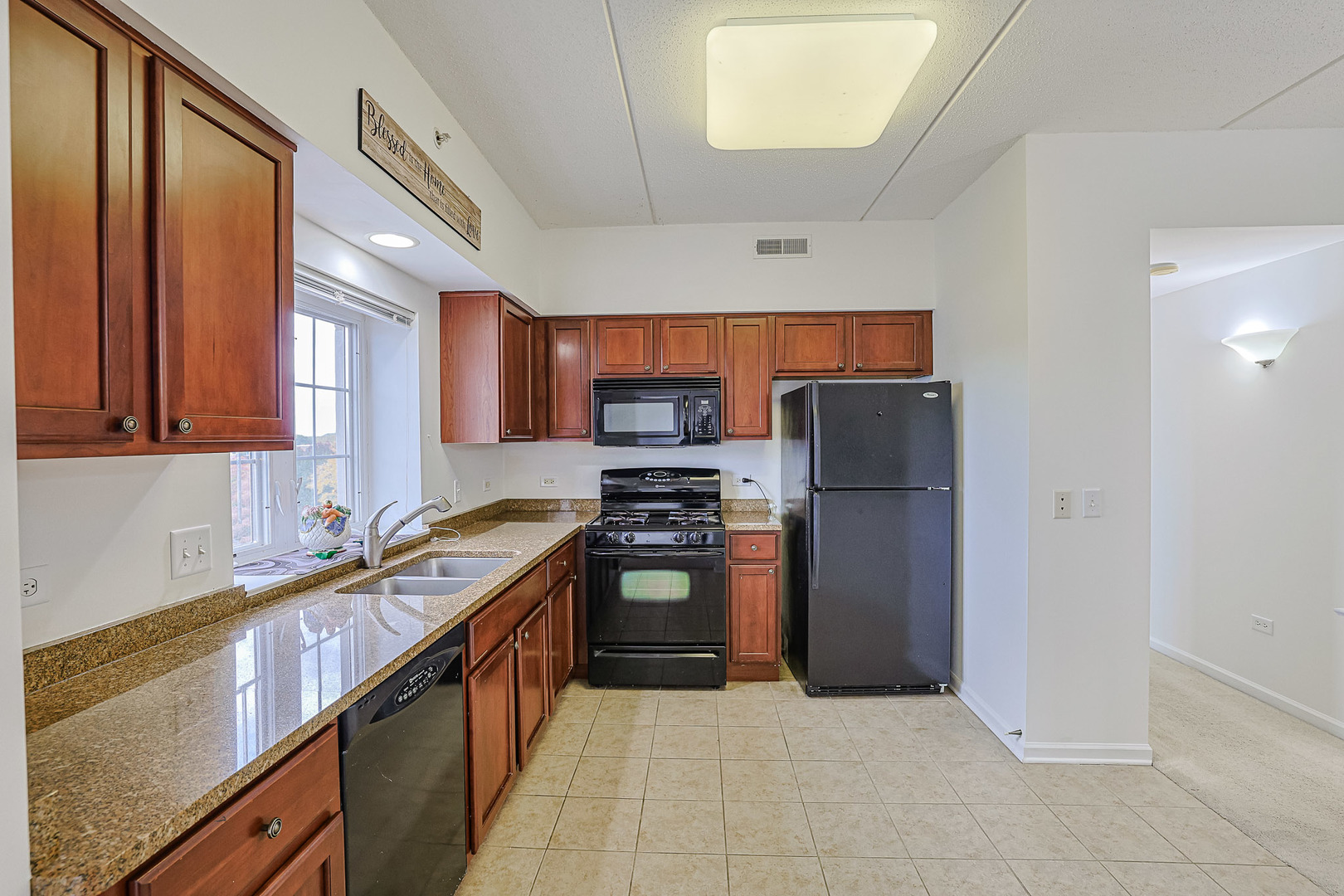 405 Creekside Drive #505, Palatine, IL 60074