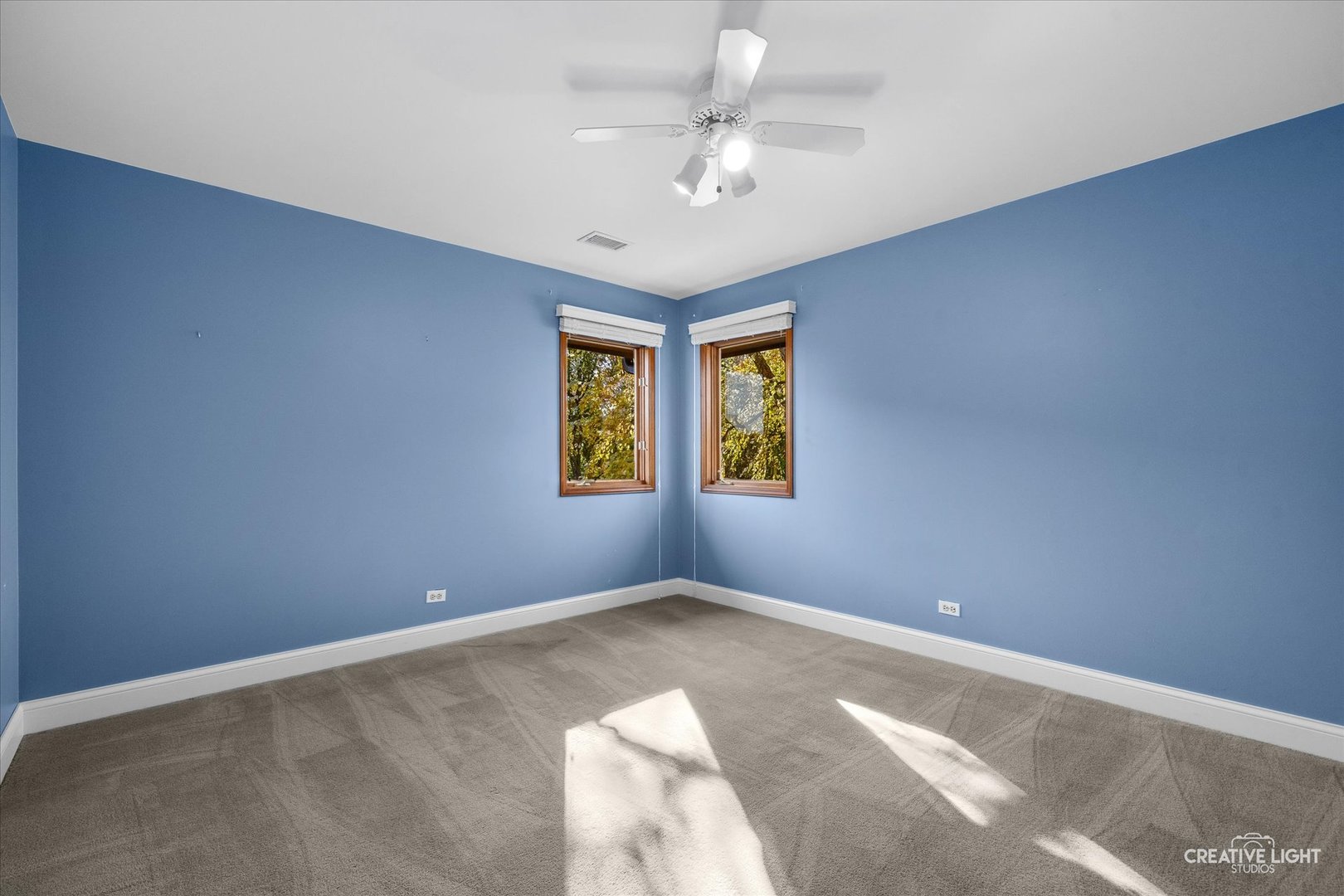 1443 Meander Drive, Naperville, IL 60565