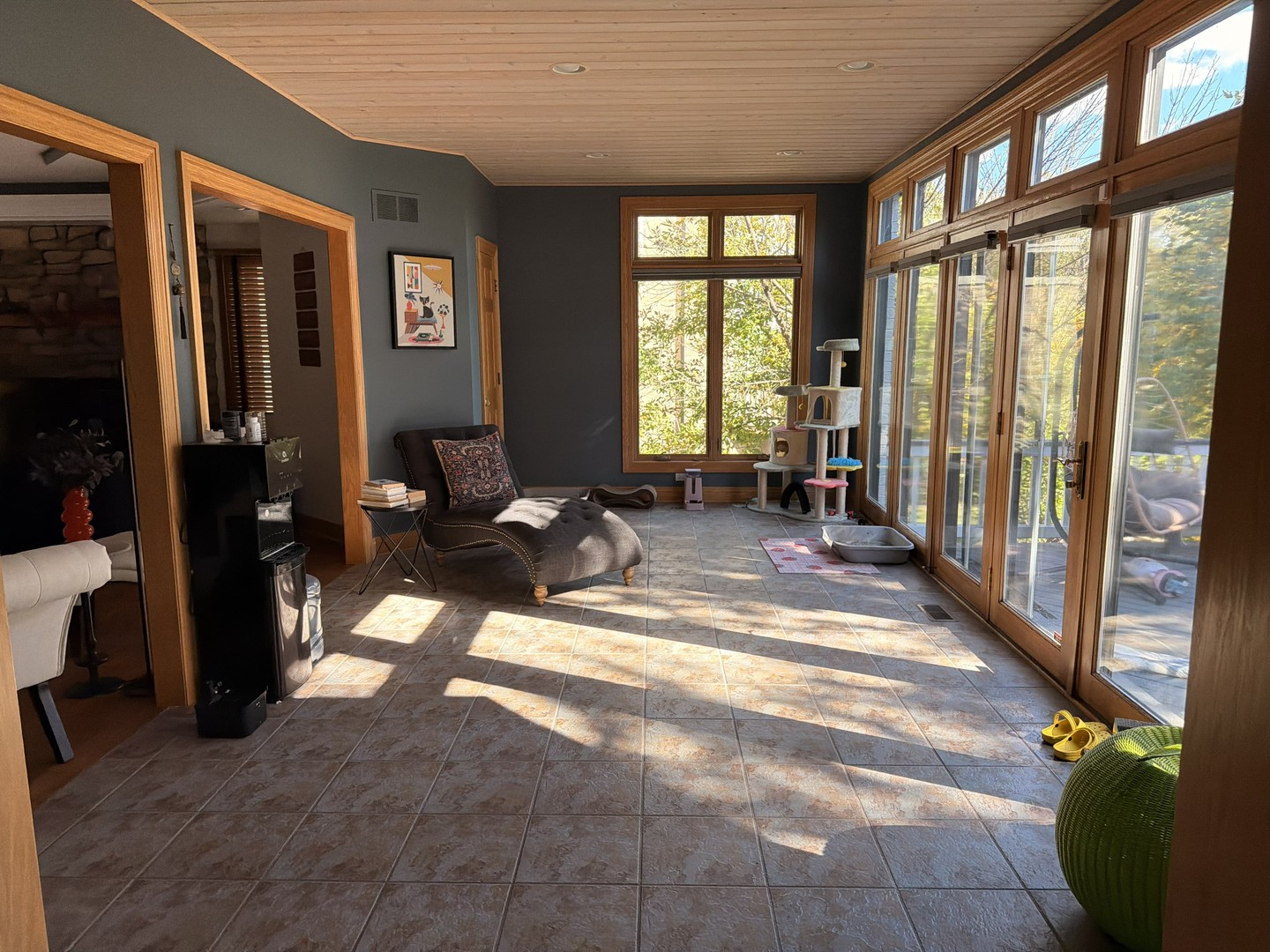 10653 Great Egret Drive, Orland Park, IL 60467