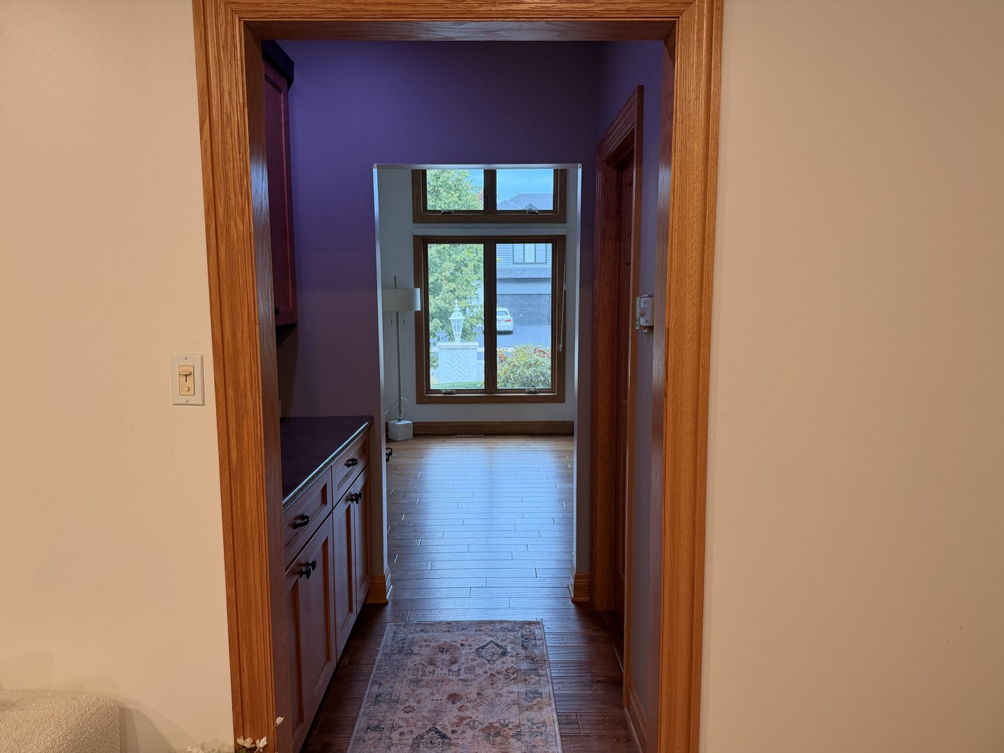 10653 Great Egret Drive, Orland Park, IL 60467