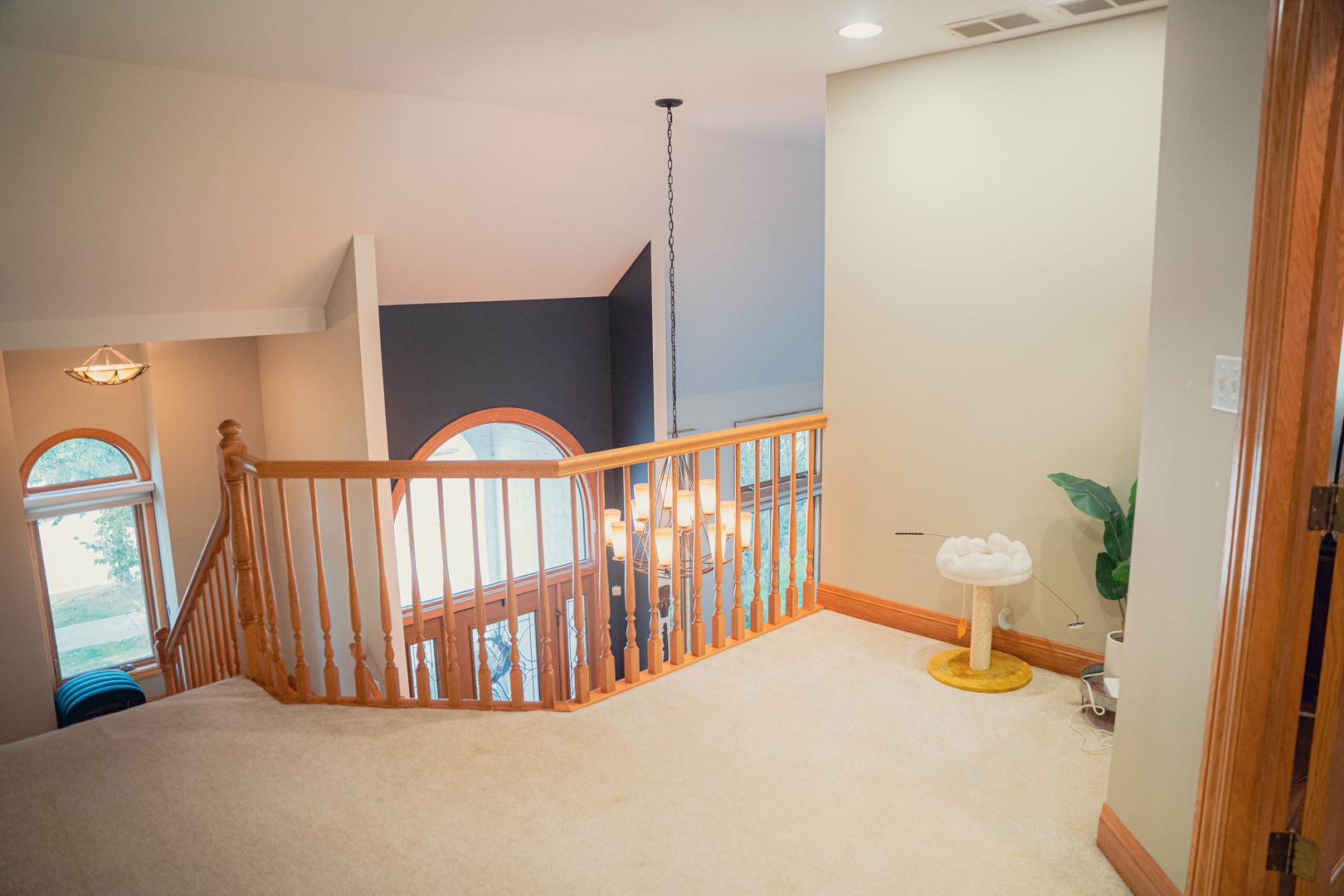 10653 Great Egret Drive, Orland Park, IL 60467