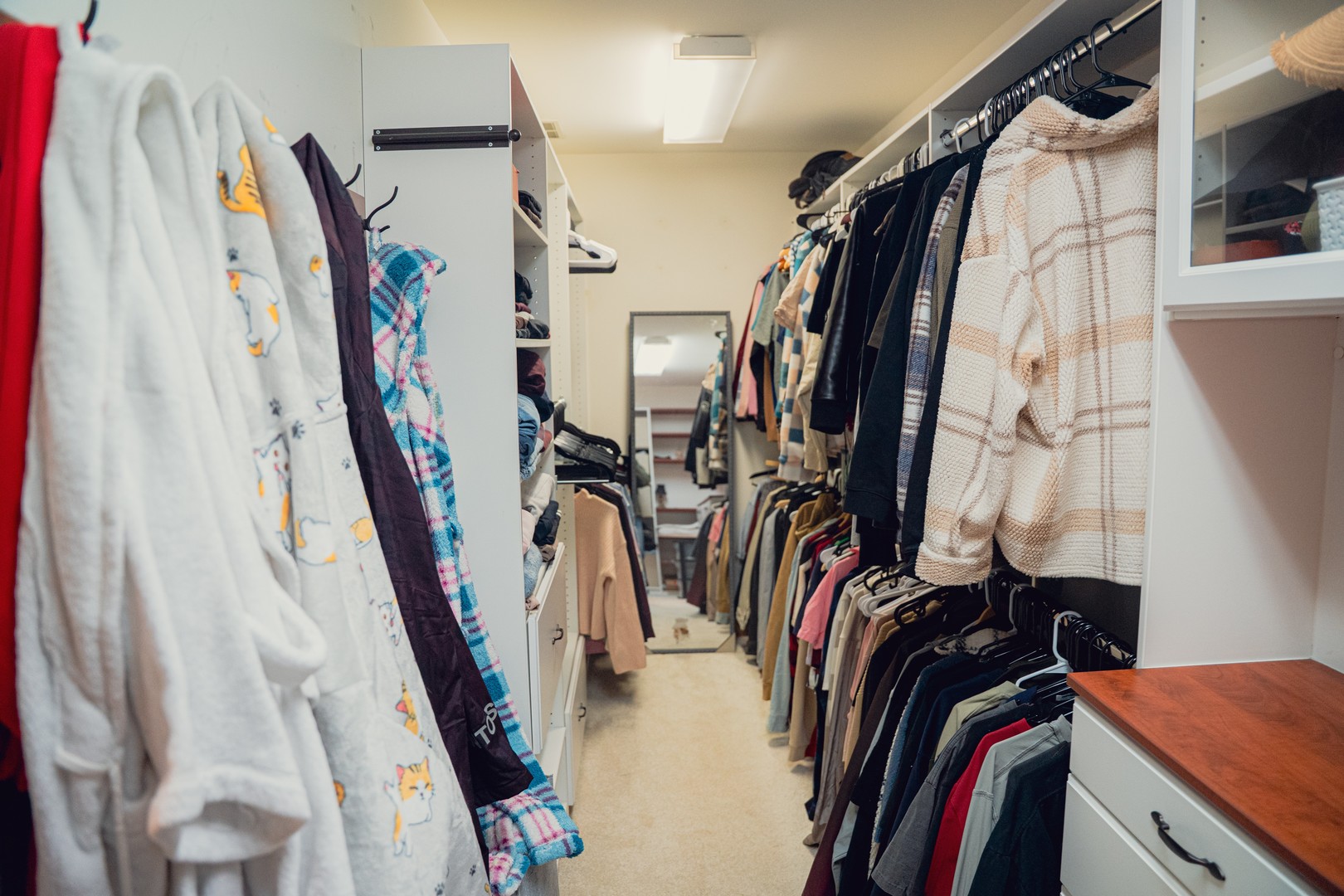 10653 Great Egret Drive, Orland Park, IL 60467