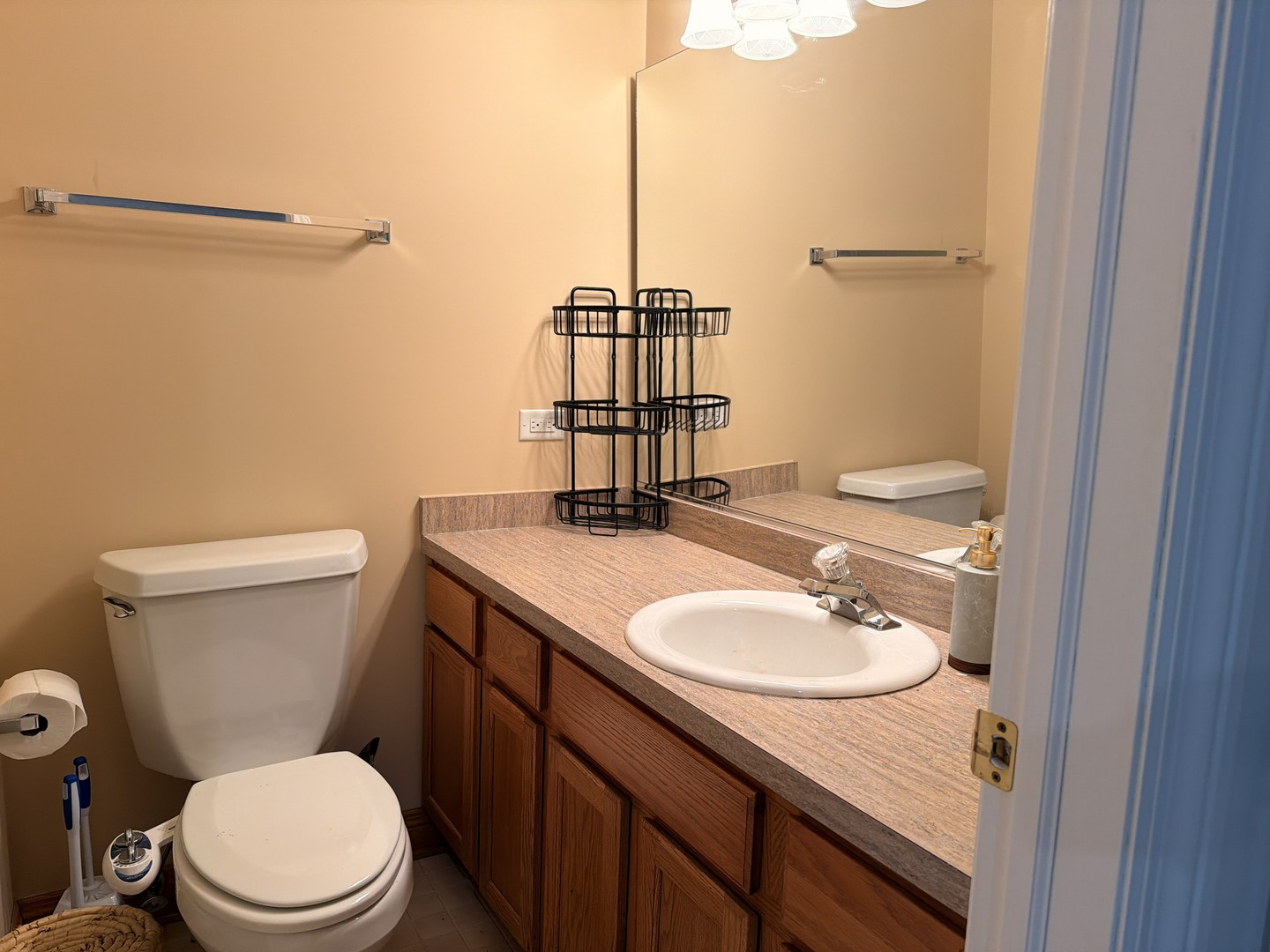 10653 Great Egret Drive, Orland Park, IL 60467