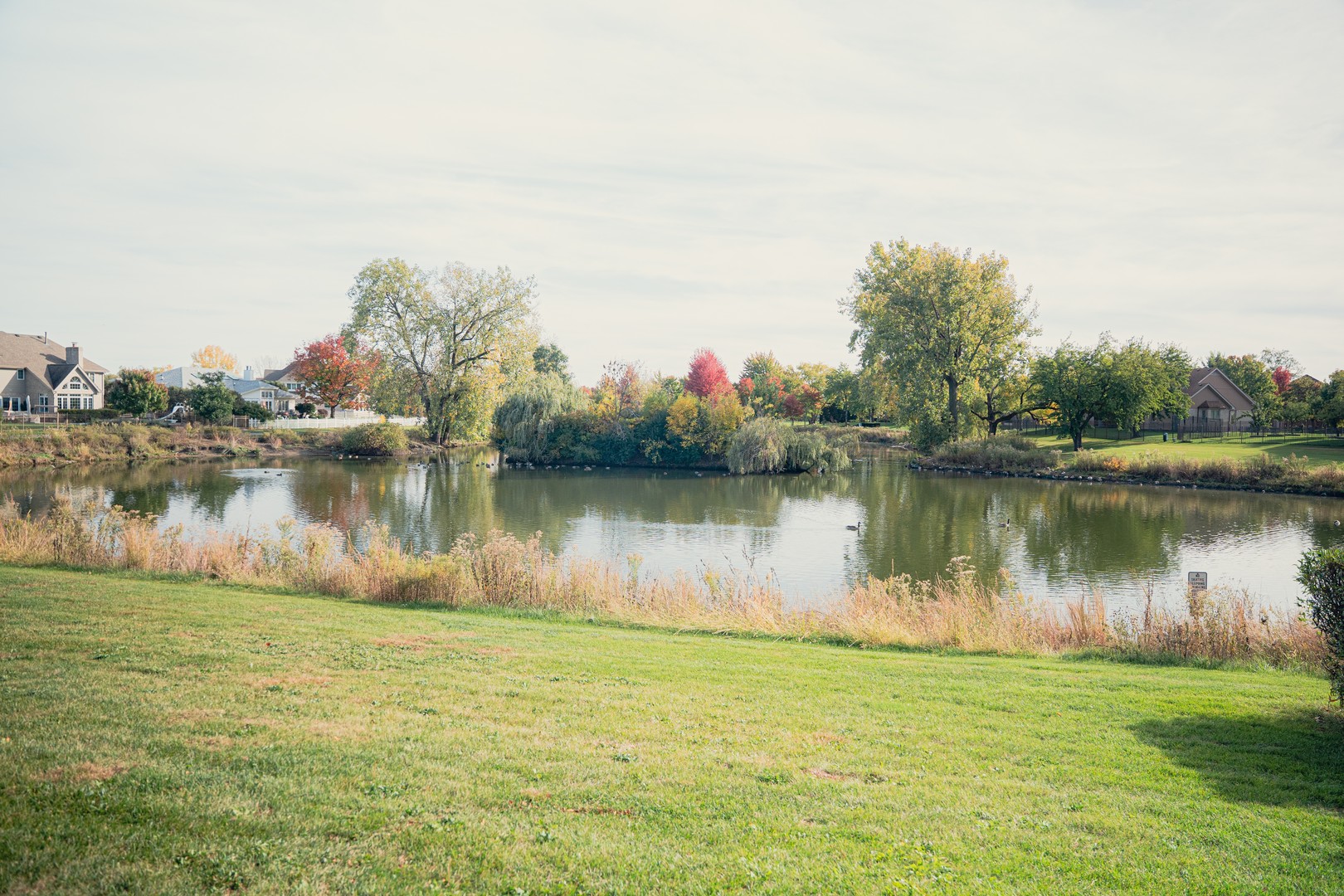 10653 Great Egret Drive, Orland Park, IL 60467