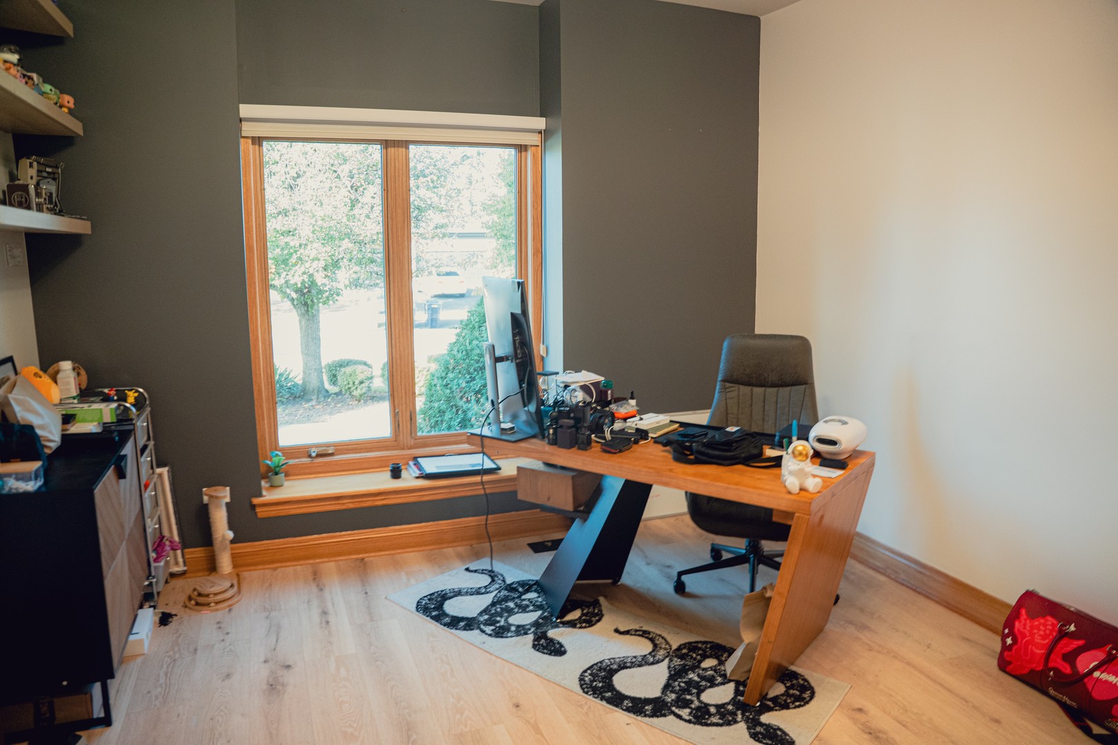 10653 Great Egret Drive, Orland Park, IL 60467